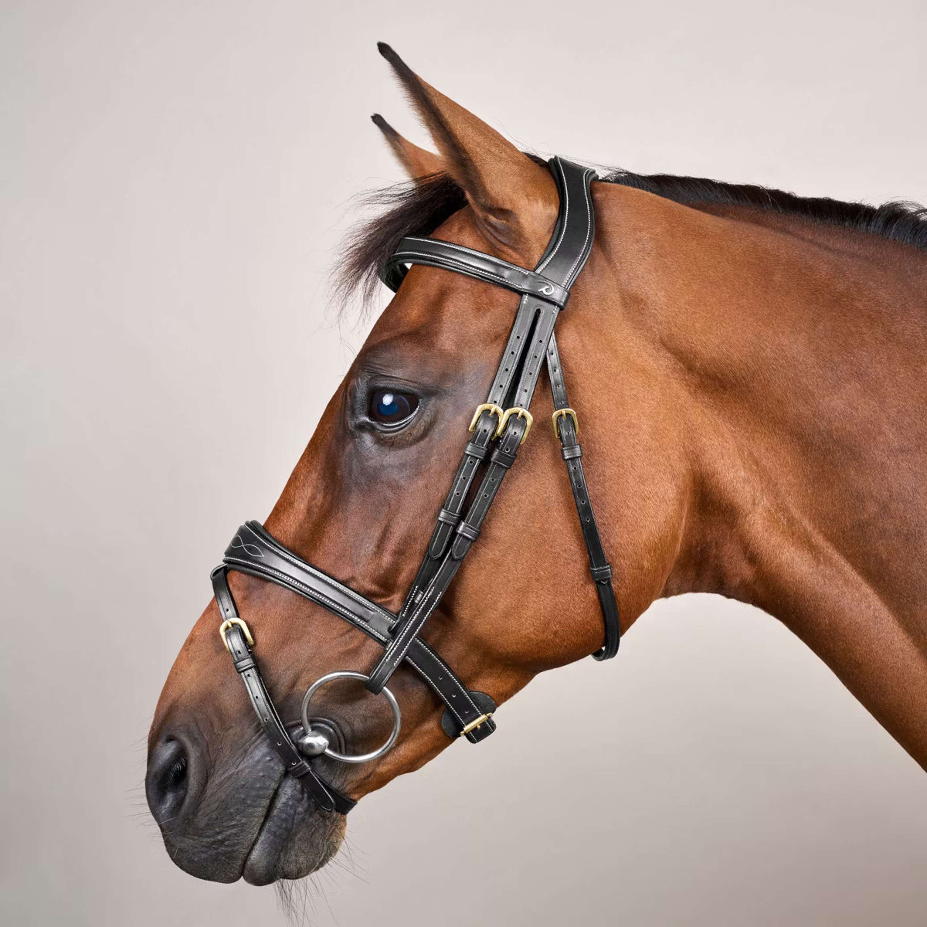Dyon Bridle Anatomic Flash Black