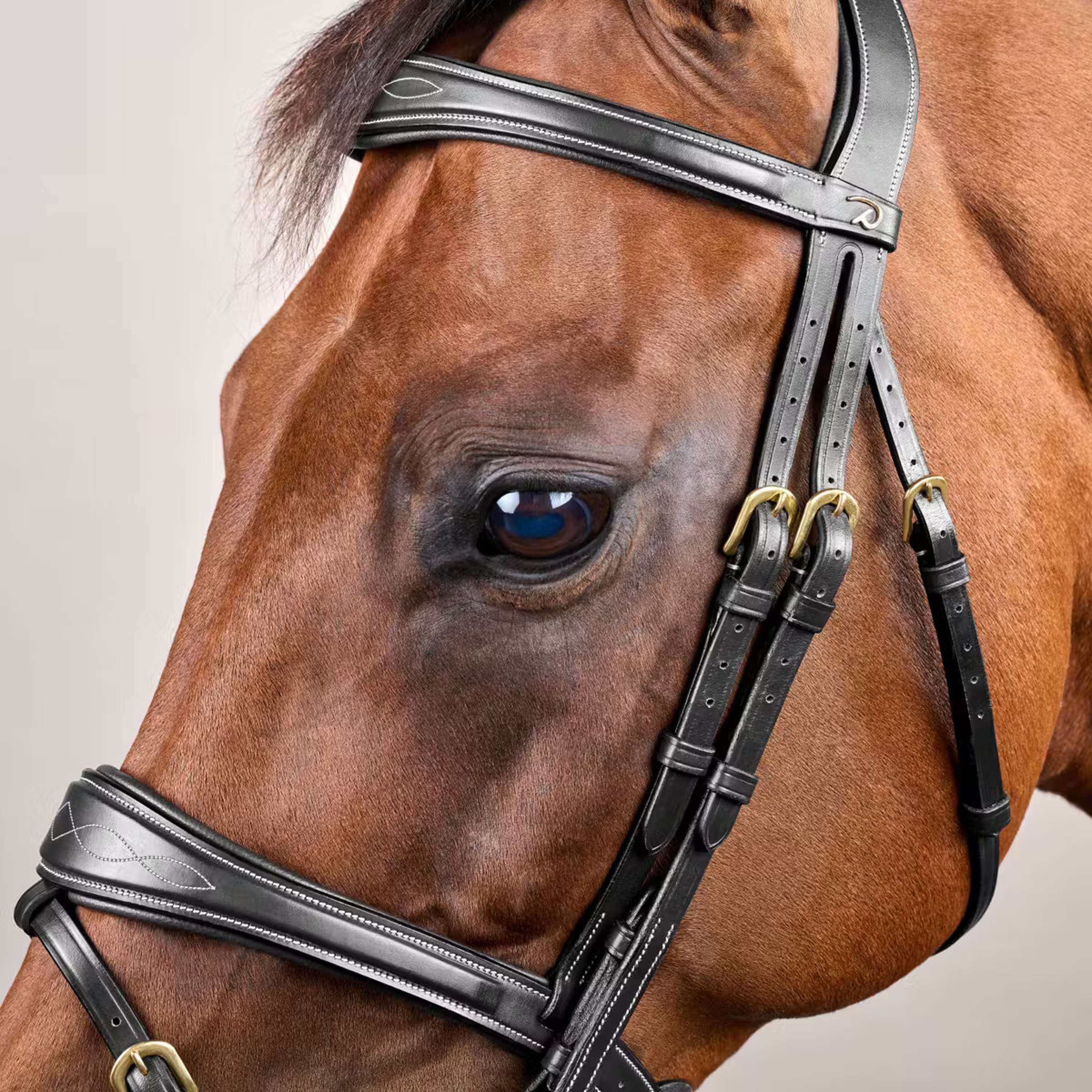 Dyon Bridle Anatomic Flash Black