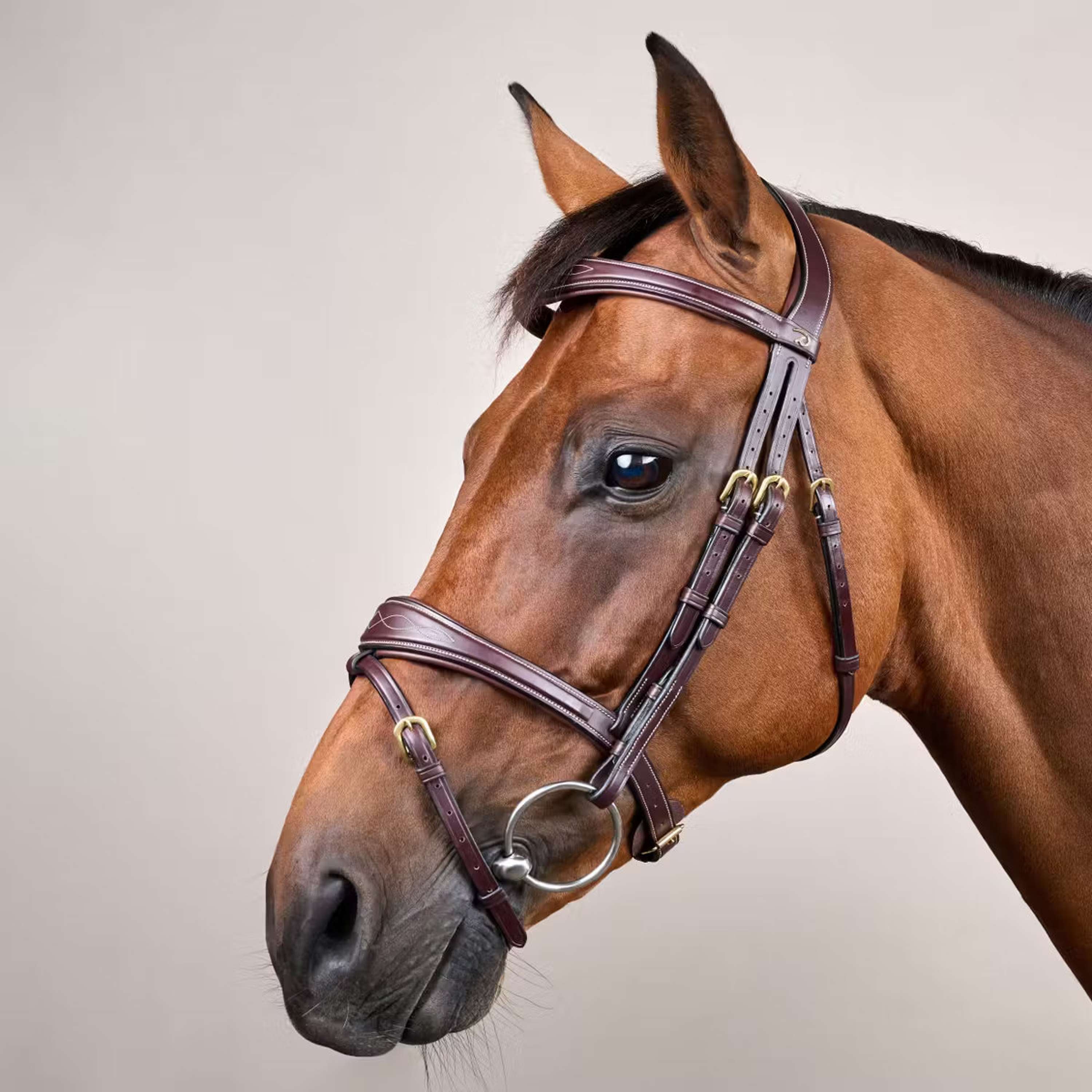 Dyon Bridle Anatomic Flash Brown