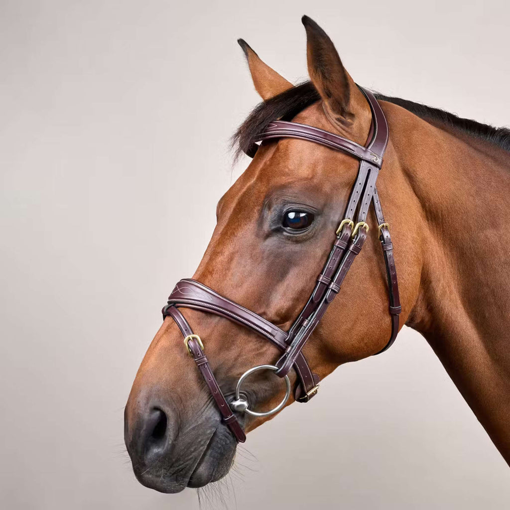 Dyon Bridle Anatomic Flash Brown