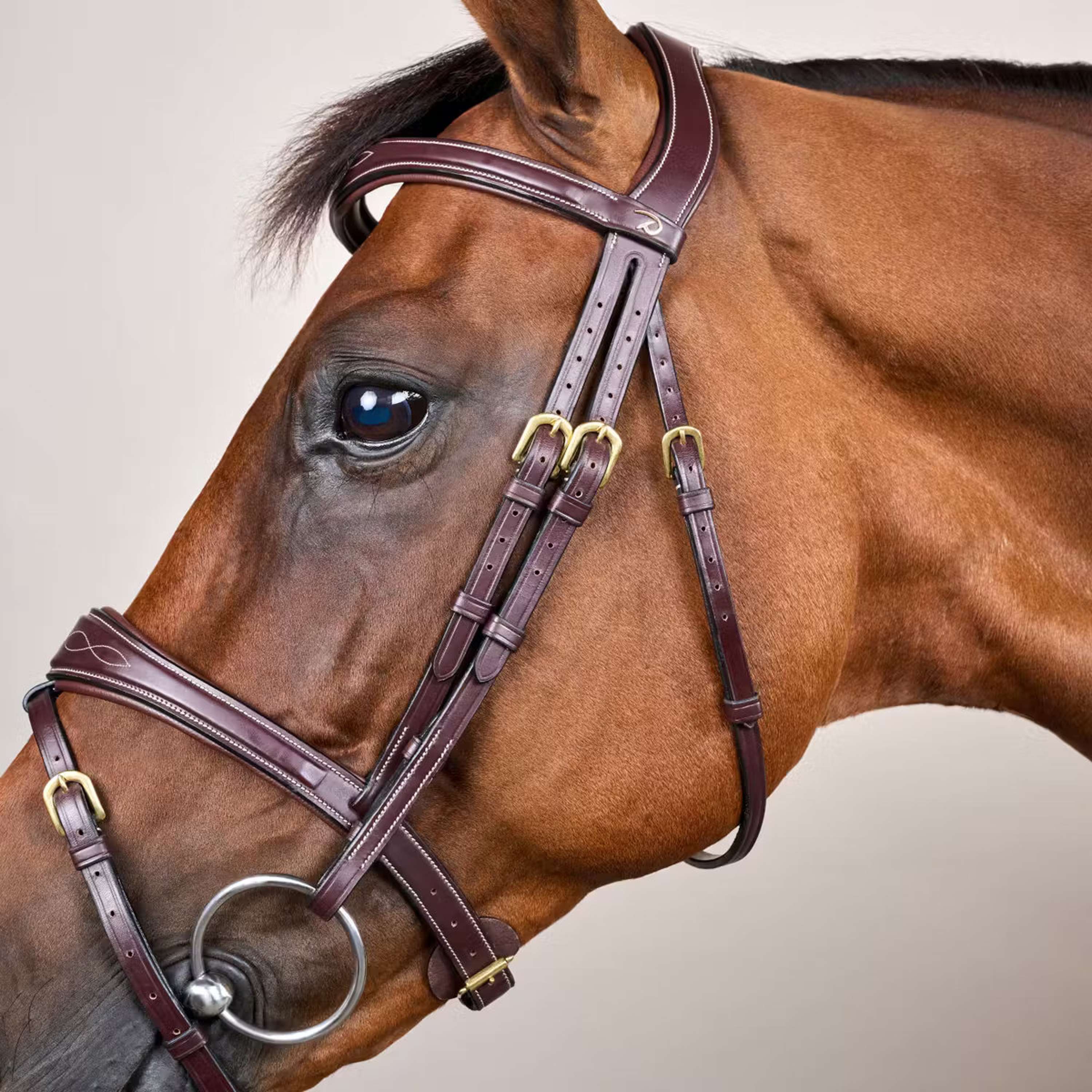 Dyon Bridle Anatomic Flash Brown