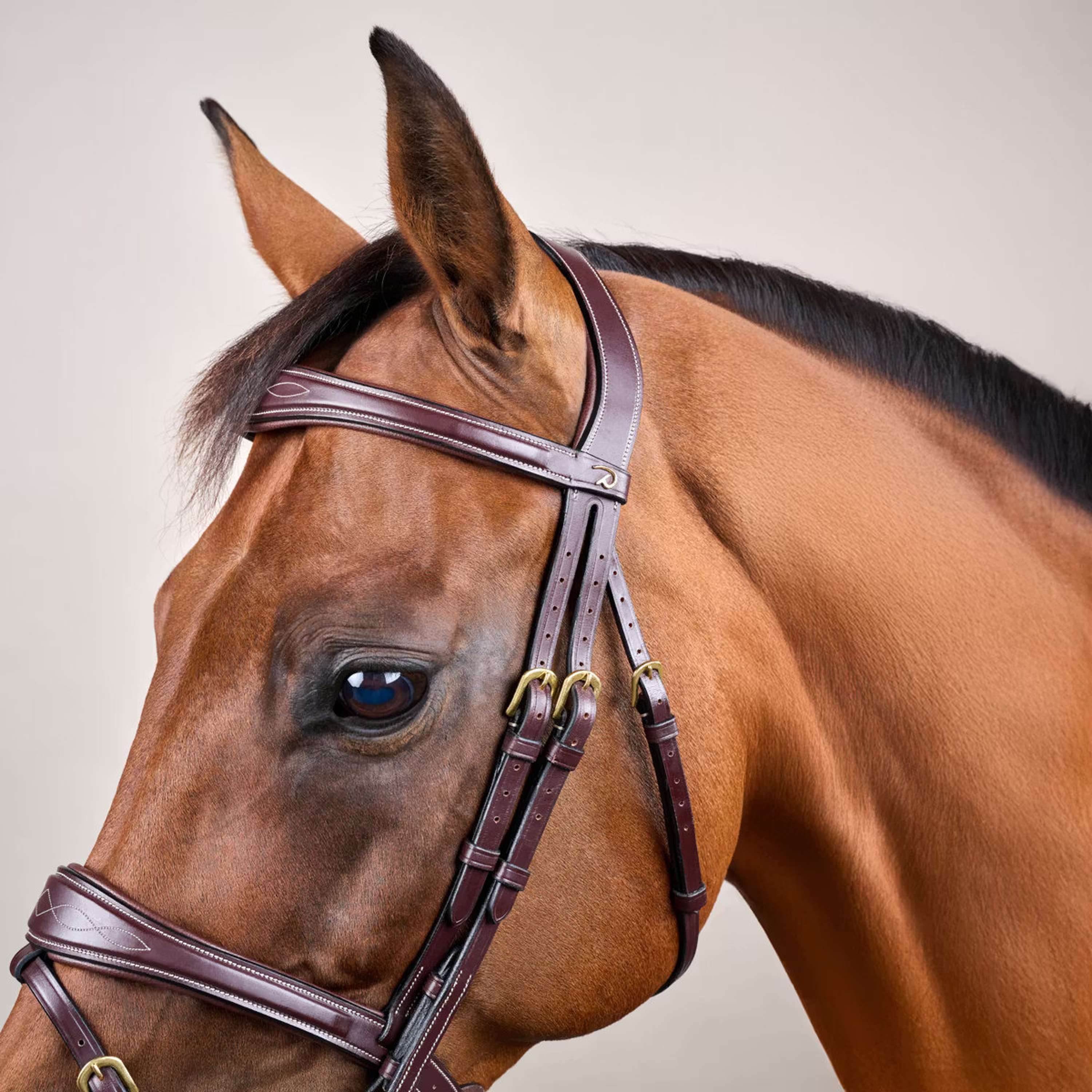 Dyon Bridle Anatomic Flash Brown