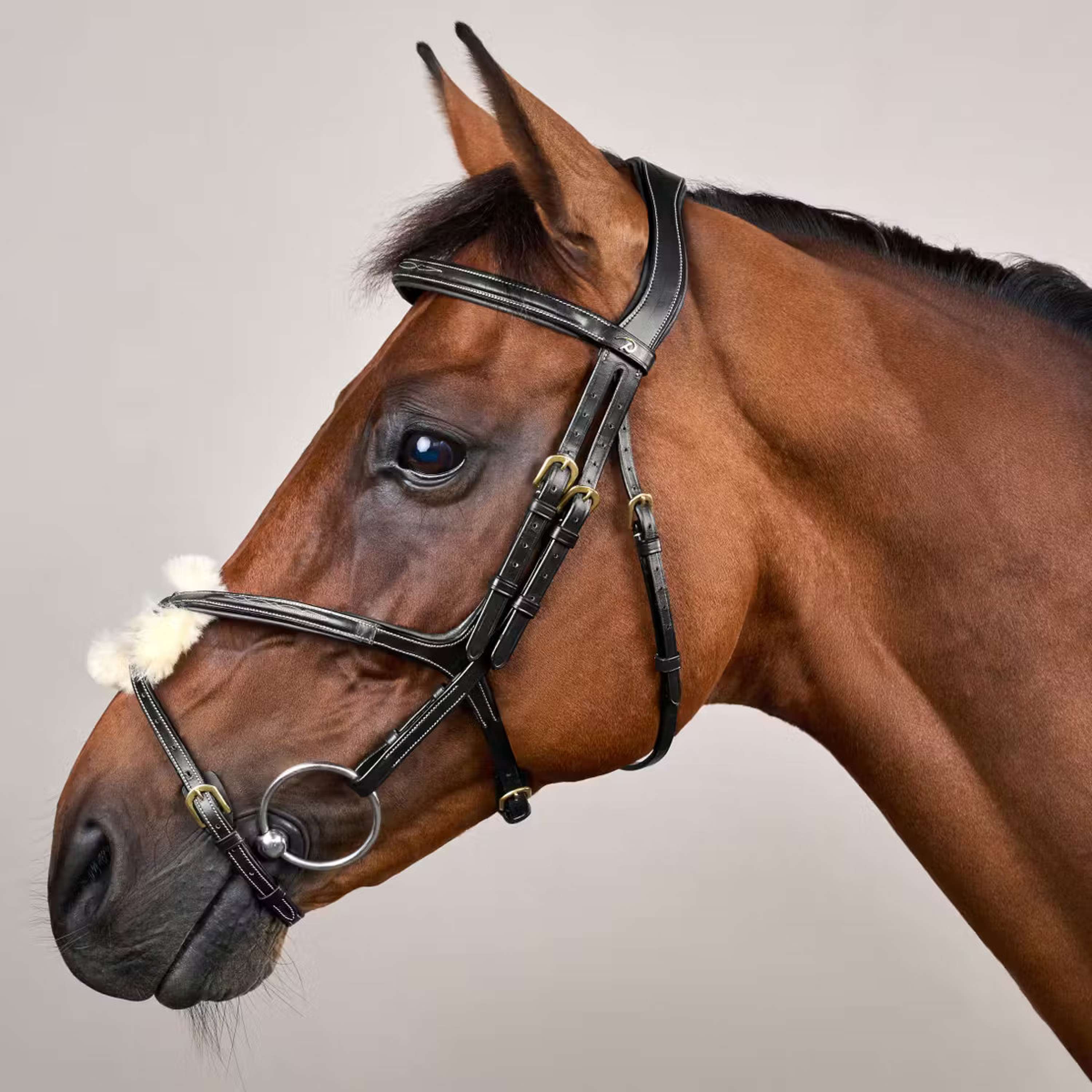 Dyon Bridle Fig 8 Black
