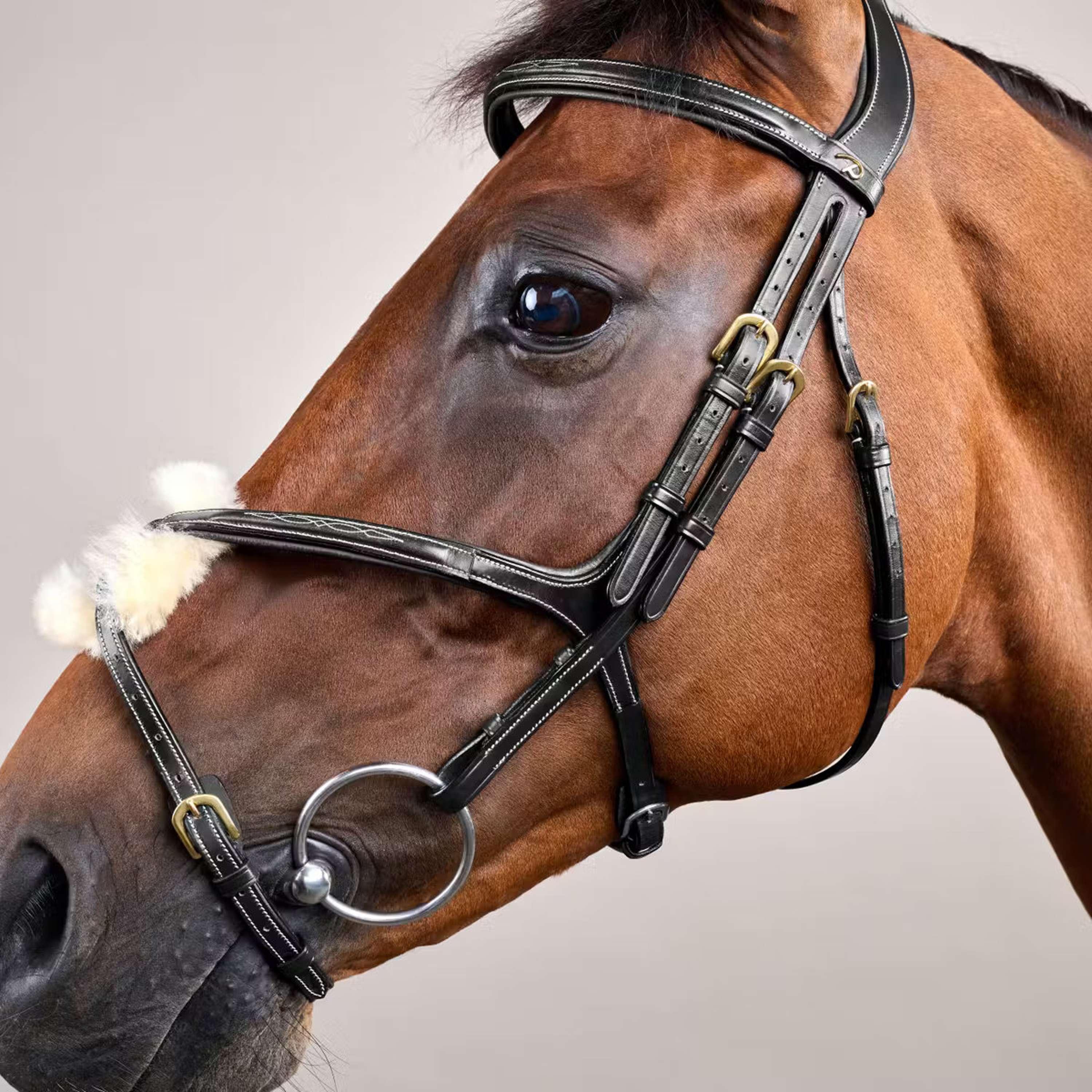 Dyon Bridle Fig 8 Black
