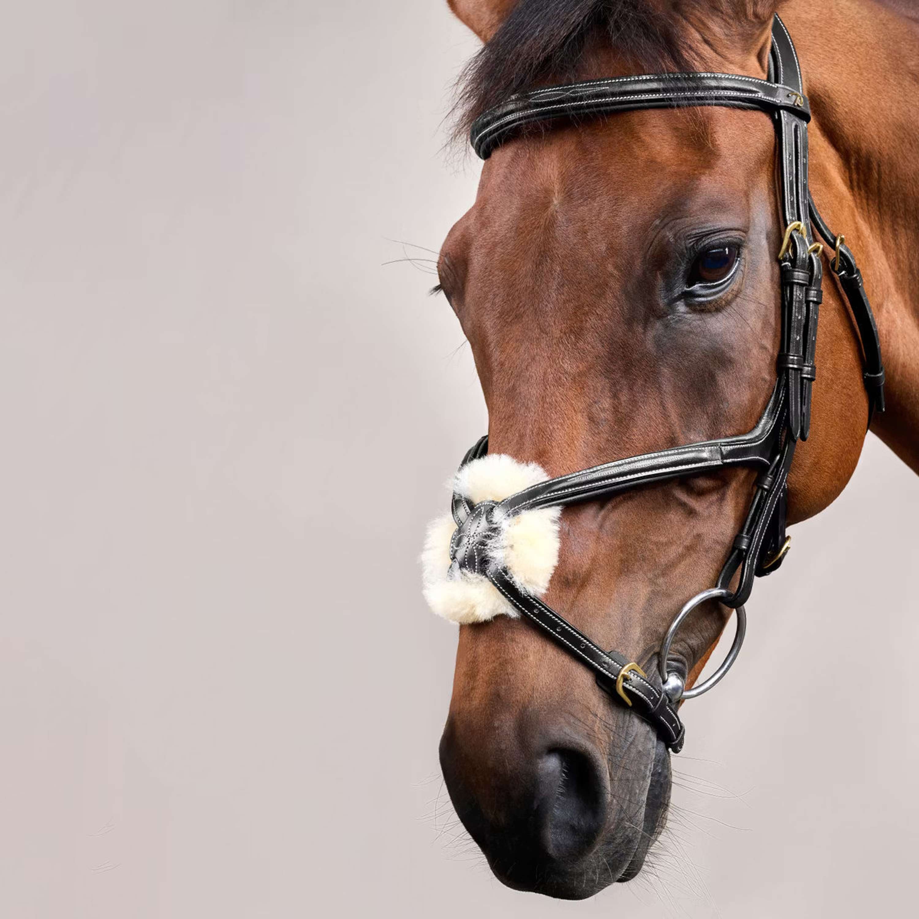 Dyon Bridle Fig 8 Black