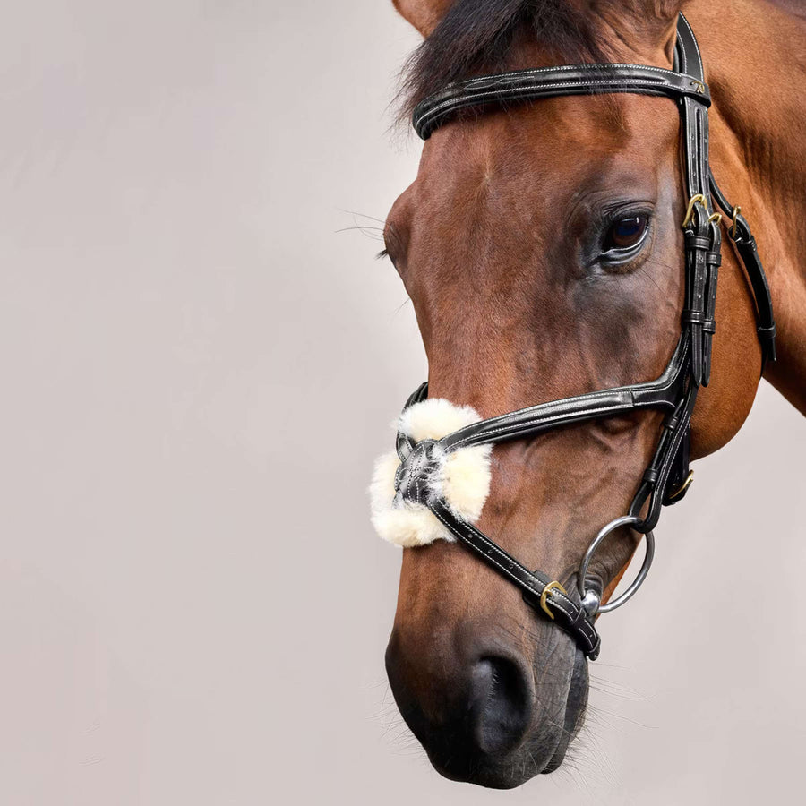 Dyon Bridle Fig 8 Black