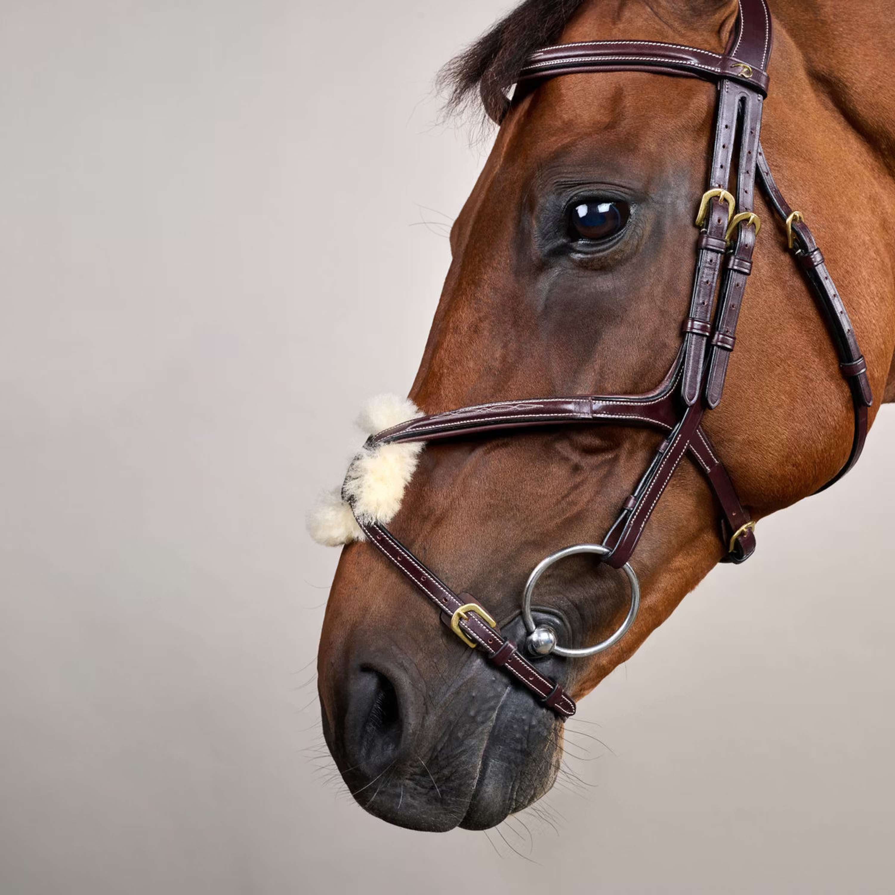 Dyon Bridle Fig 8 Brown