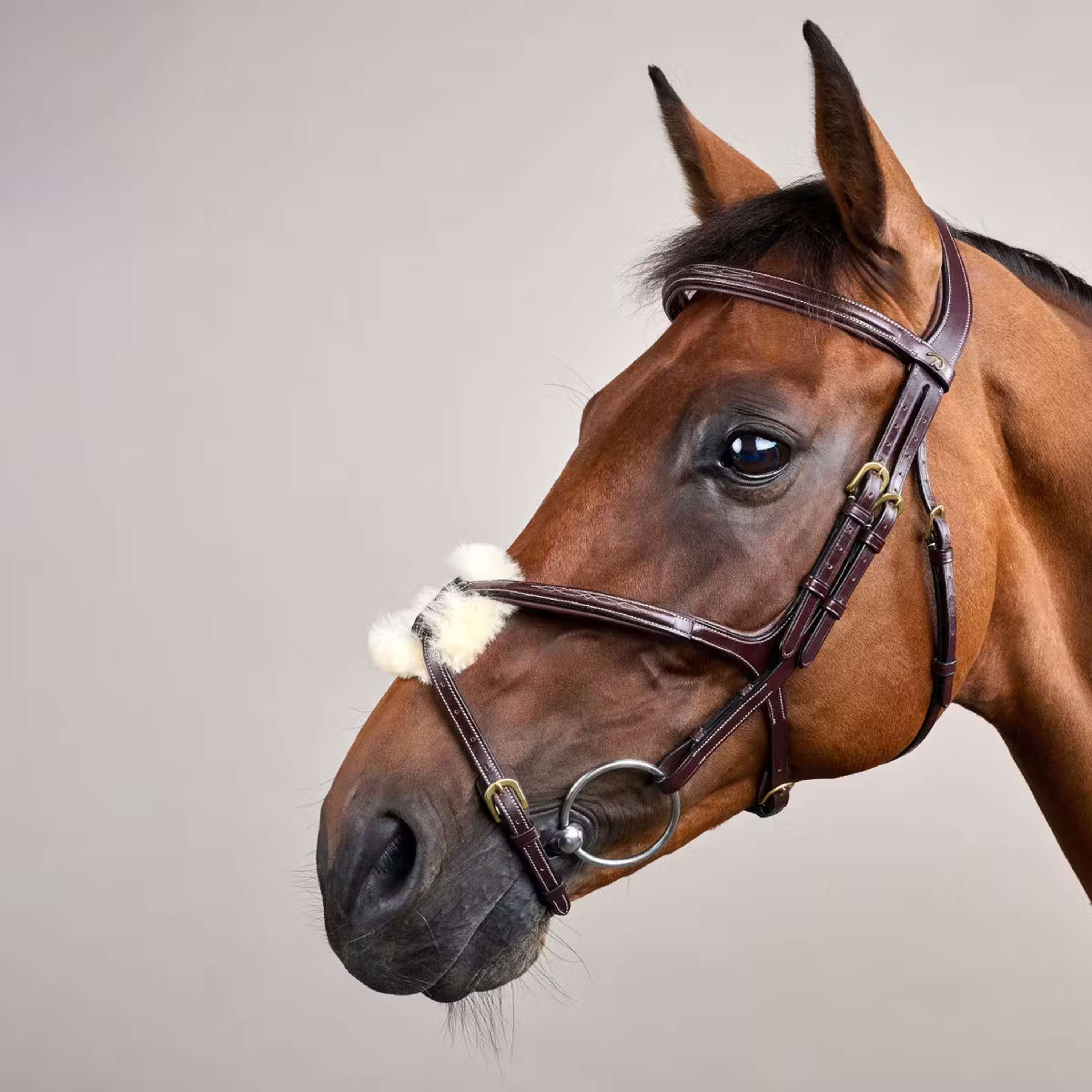 Dyon Bridle Fig 8 Brown