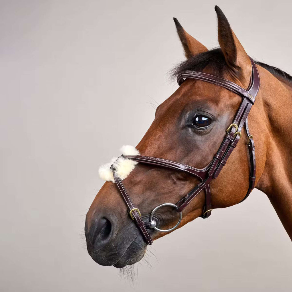 Dyon Bridle Fig 8 Brown