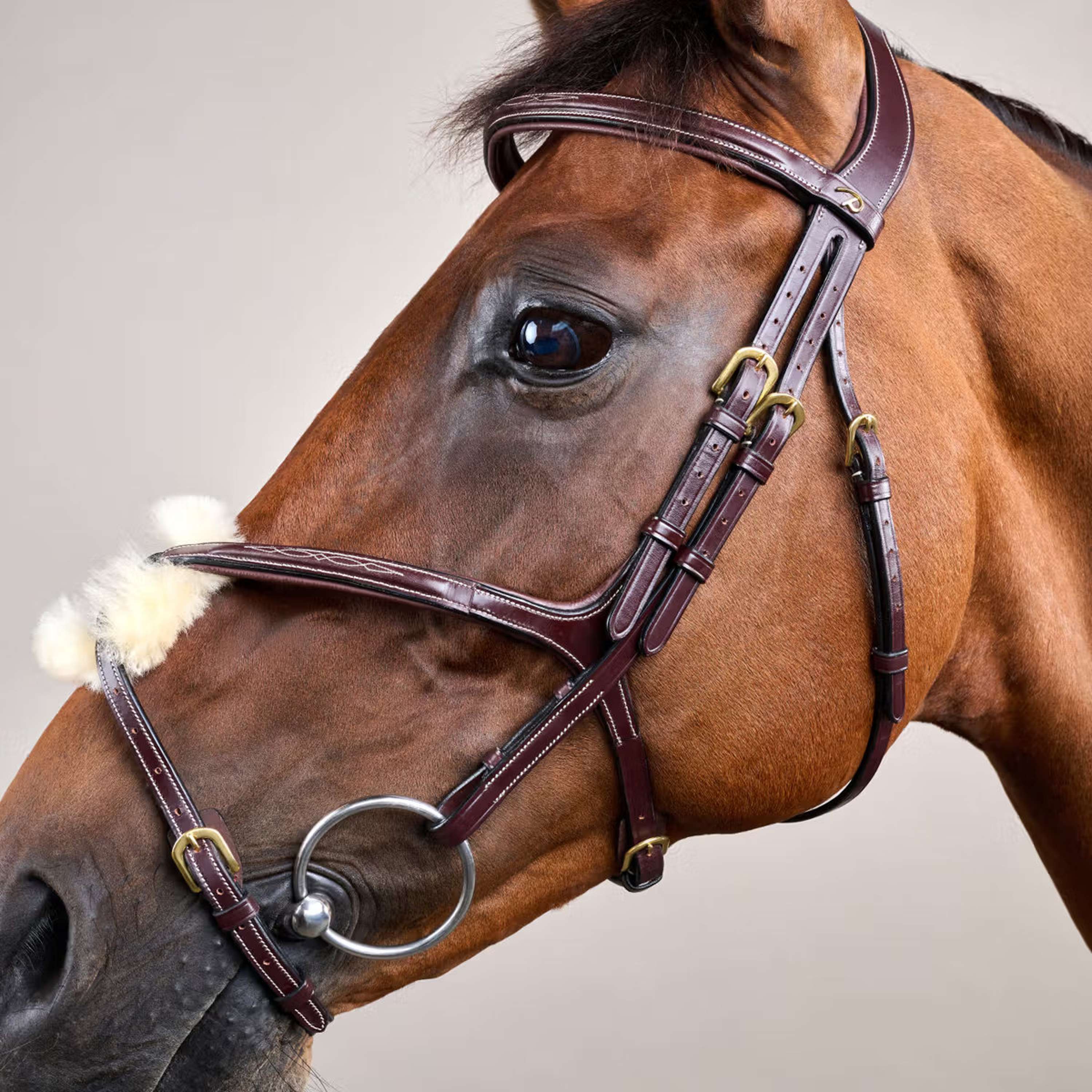 Dyon Bridle Fig 8 Brown