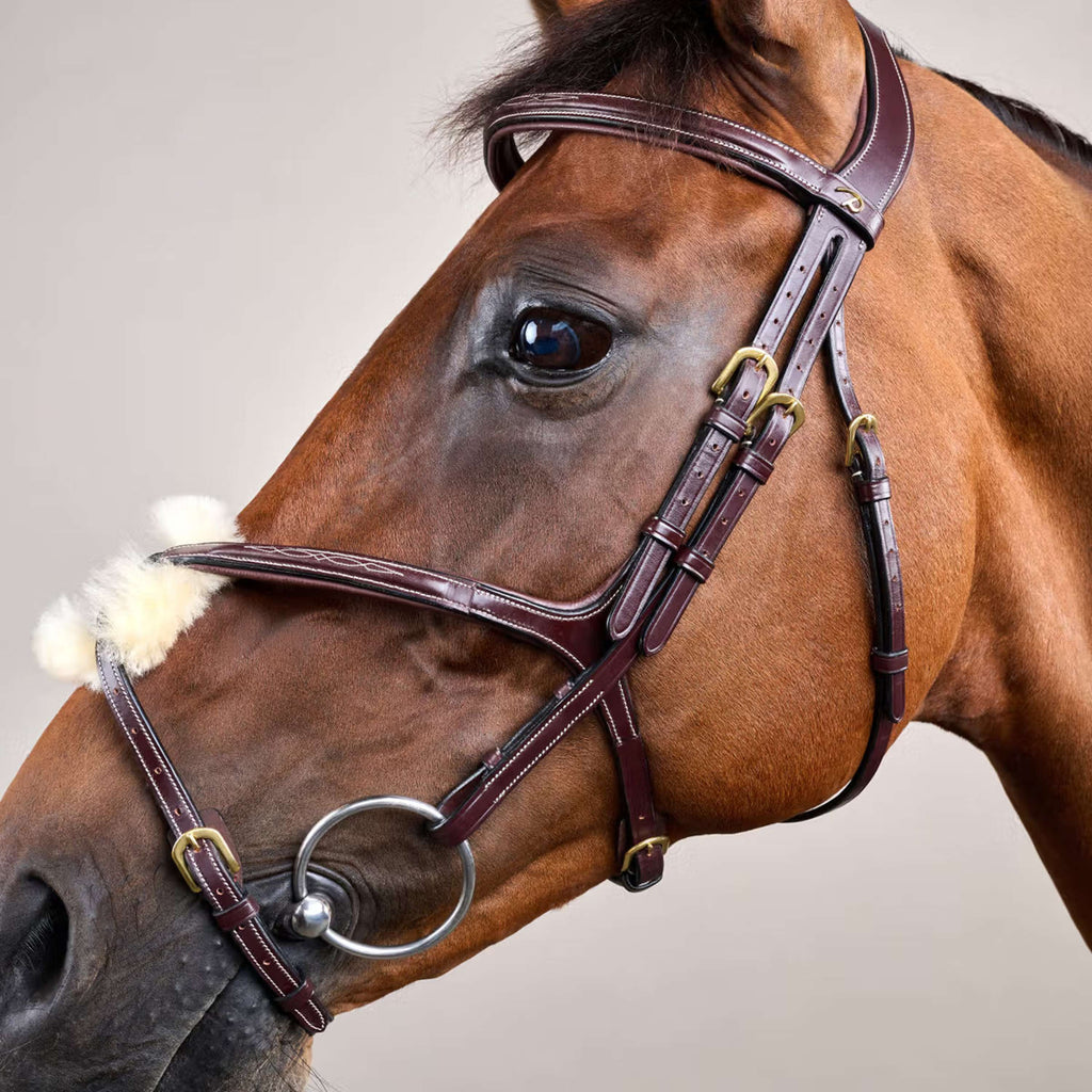 Dyon Bridle Fig 8 Brown