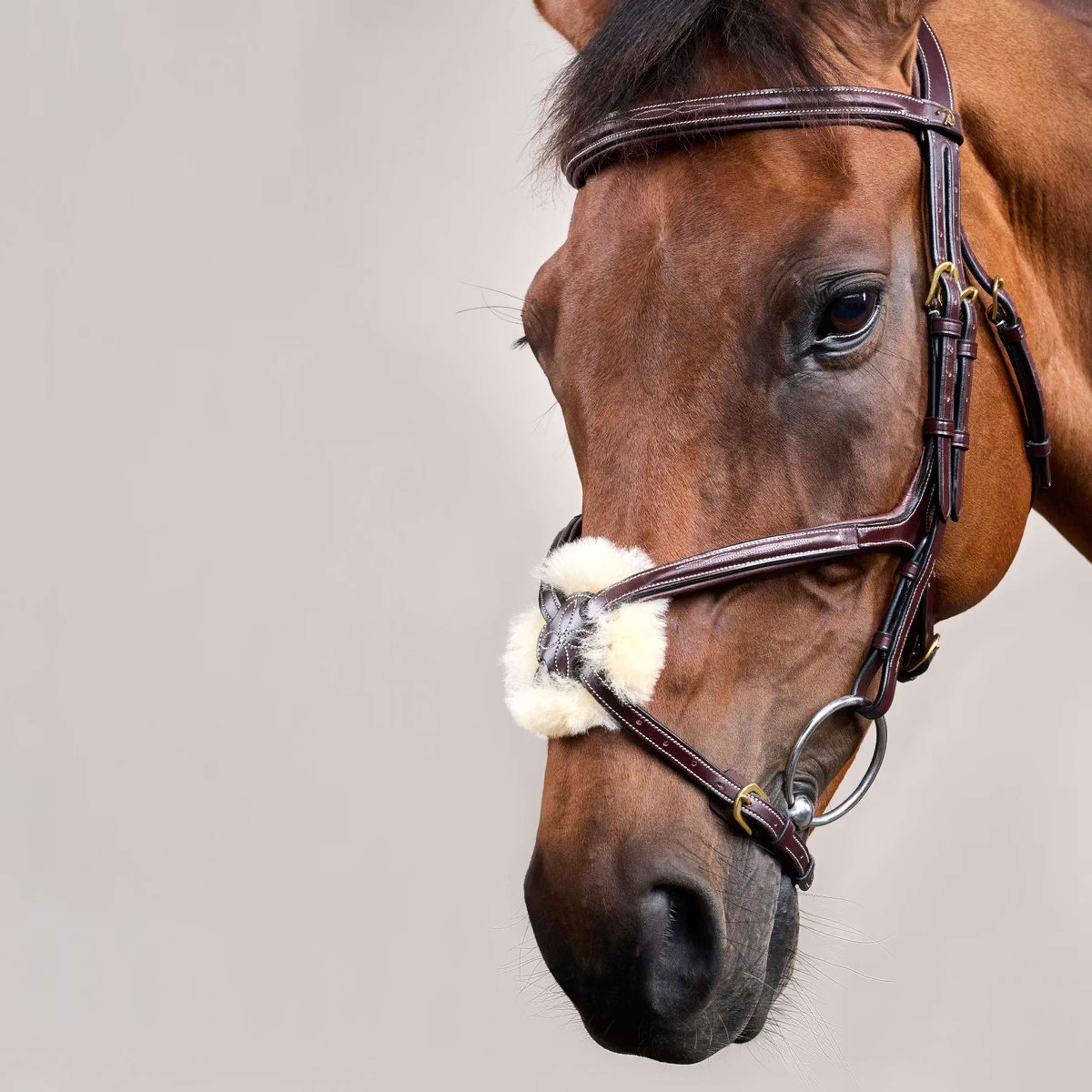 Dyon Bridle Fig 8 Brown