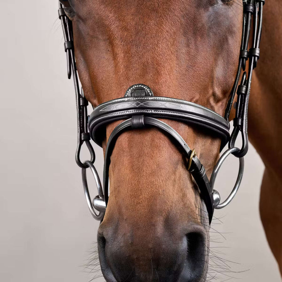 Dyon Bridle Flash Black