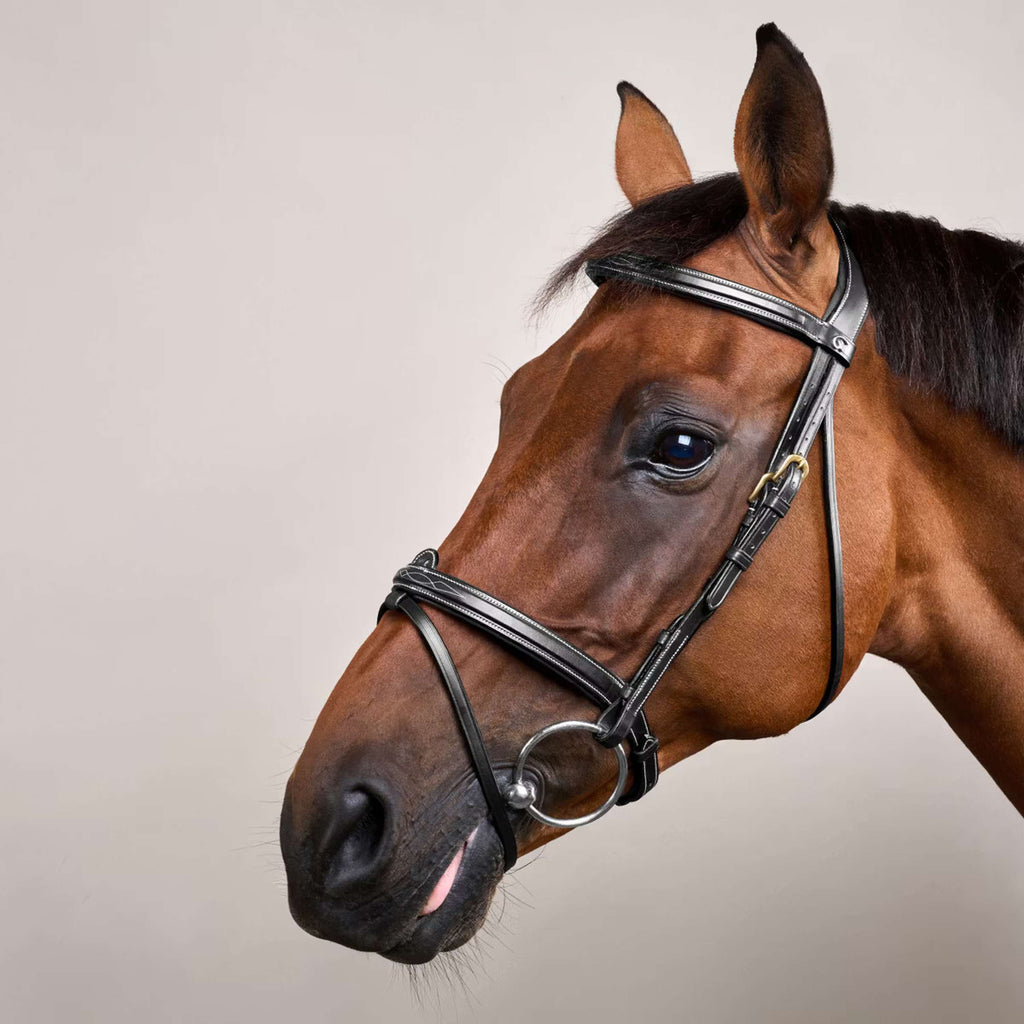 Dyon Bridle Flash Black