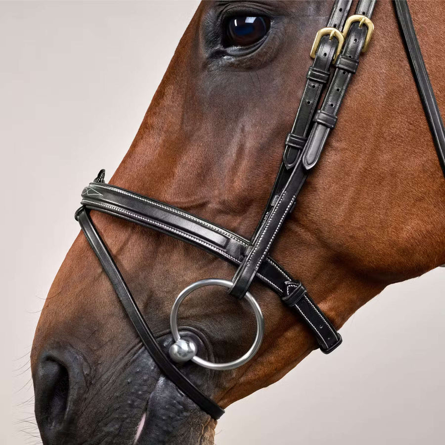Dyon Bridle Flash Black