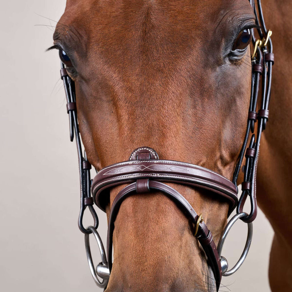Dyon Bridle Flash Brown