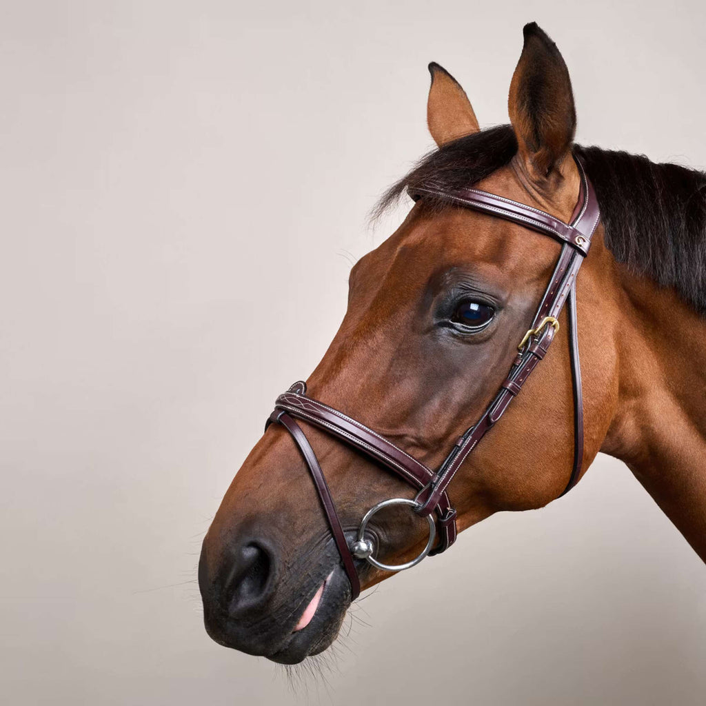 Dyon Bridle Flash Brown