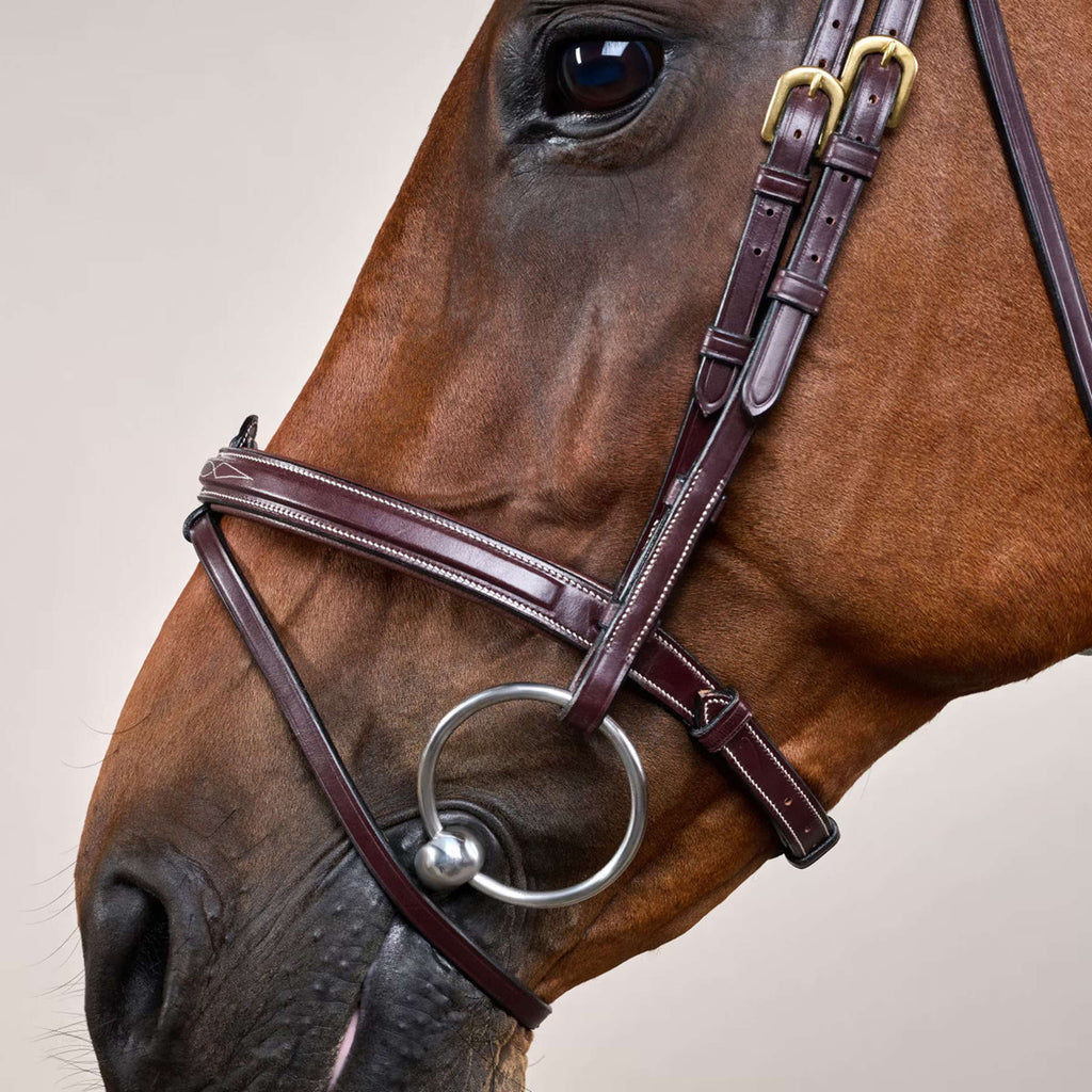 Dyon Bridle Flash Brown