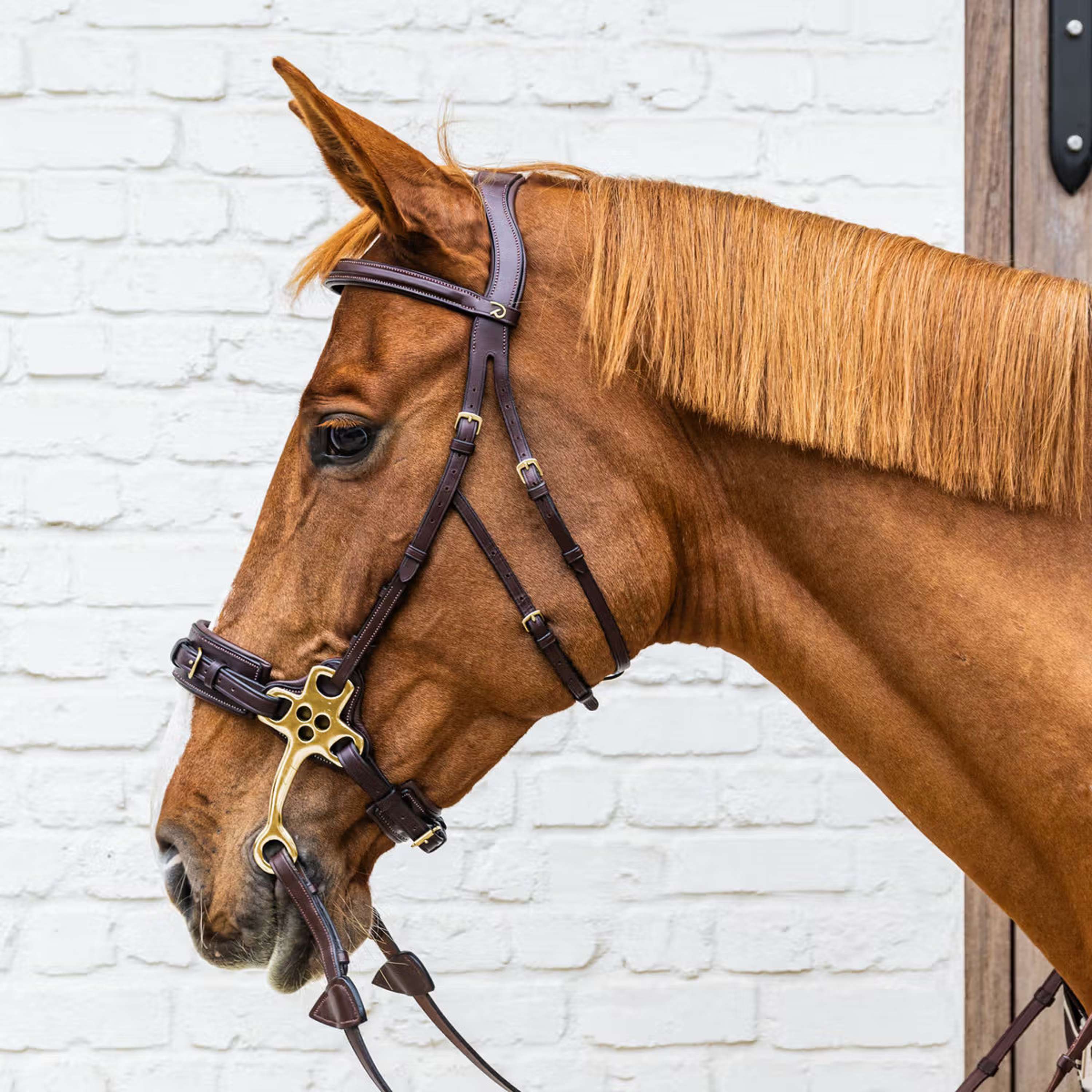 Dyon Bridle Hackamore Brown