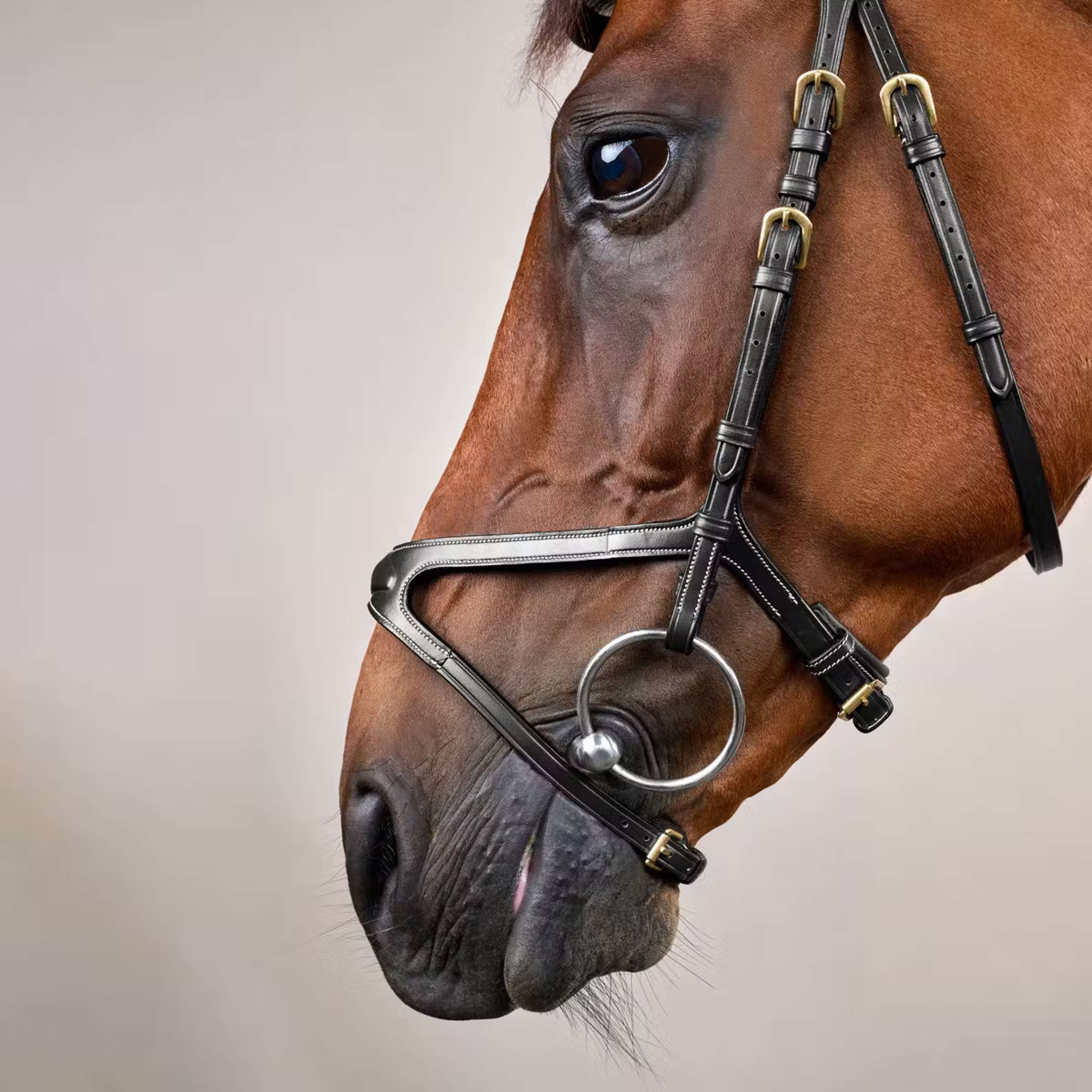 Dyon Bridle X-Fit Black