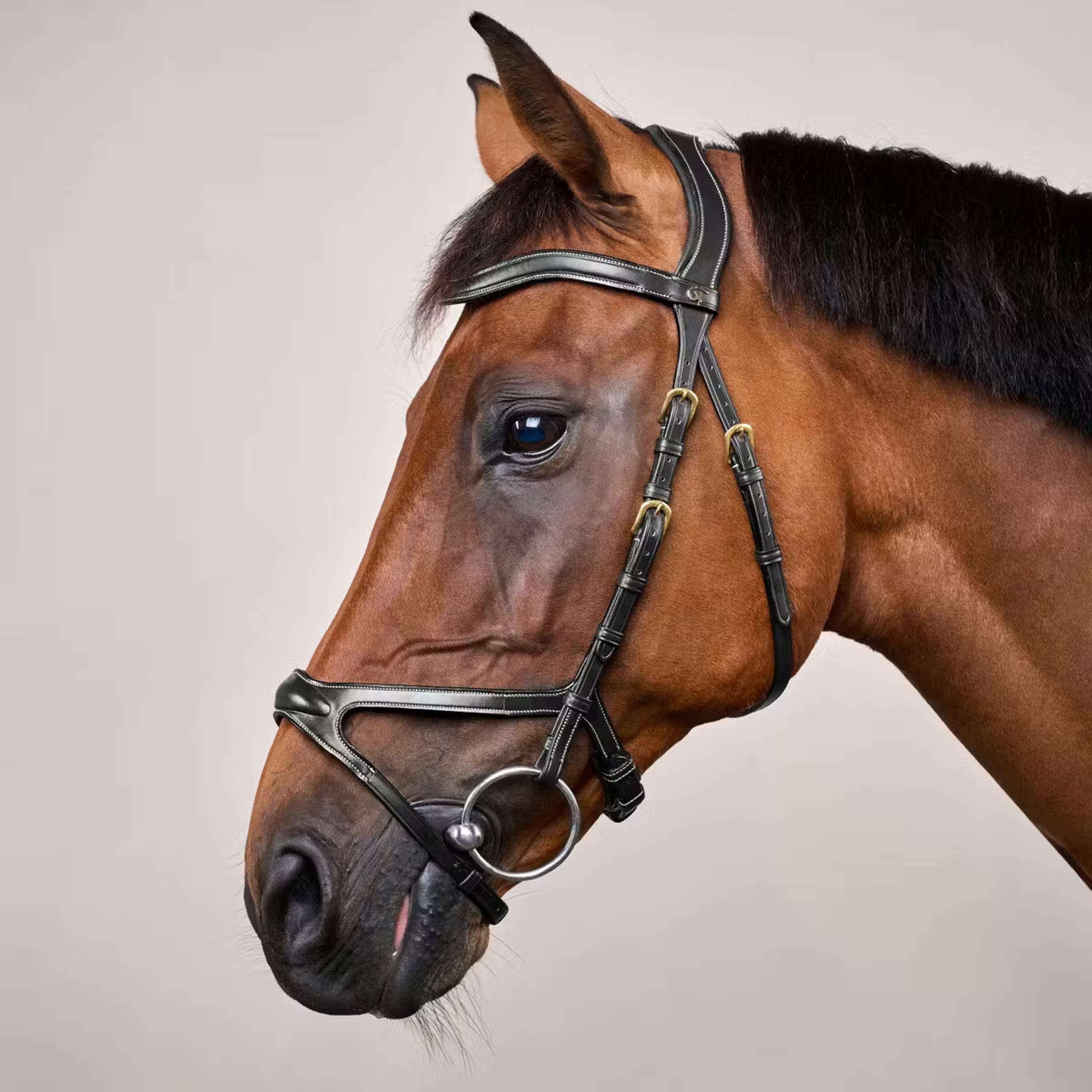Dyon Bridle X-Fit Black