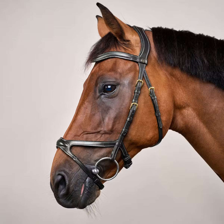 Dyon Bridle X-Fit Black