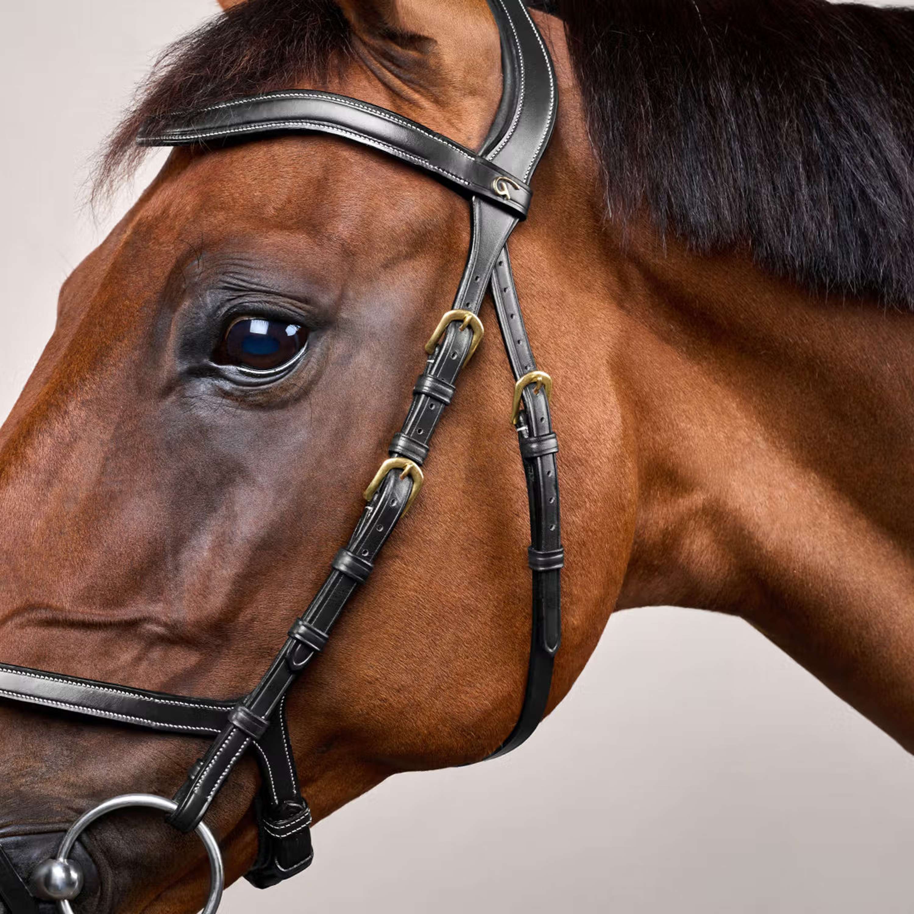Dyon Bridle X-Fit Black