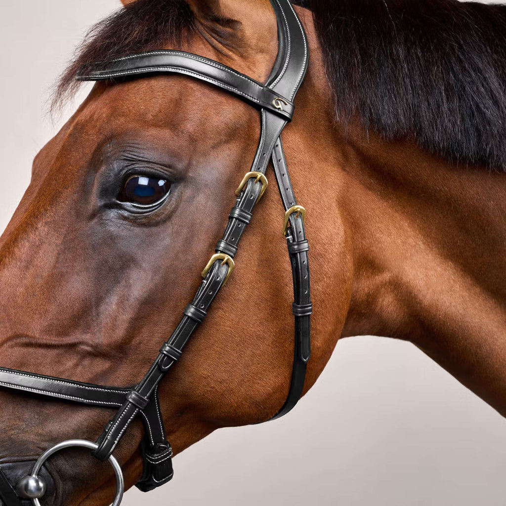Dyon Bridle X-Fit Black