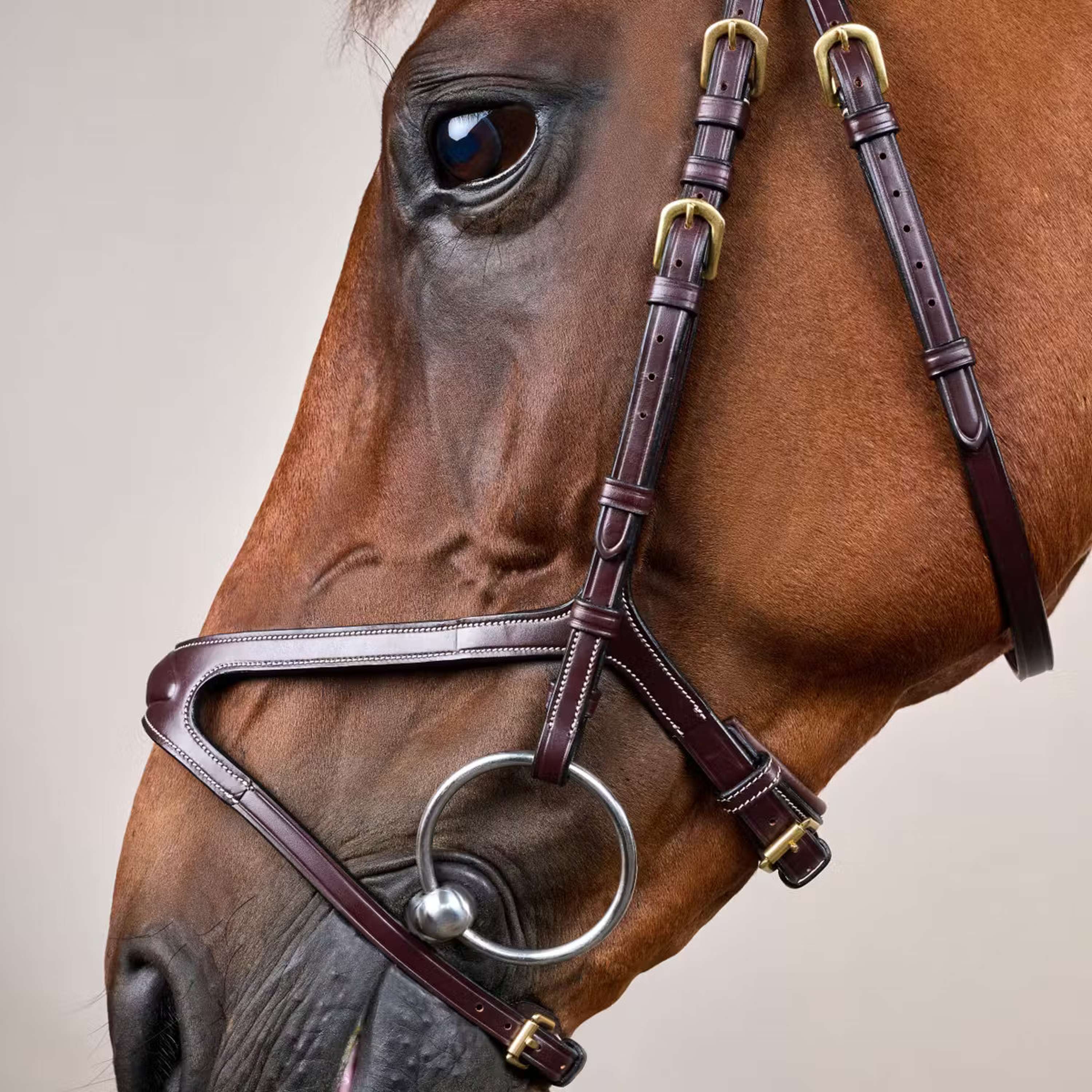 Dyon Bridle X-Fit Brown