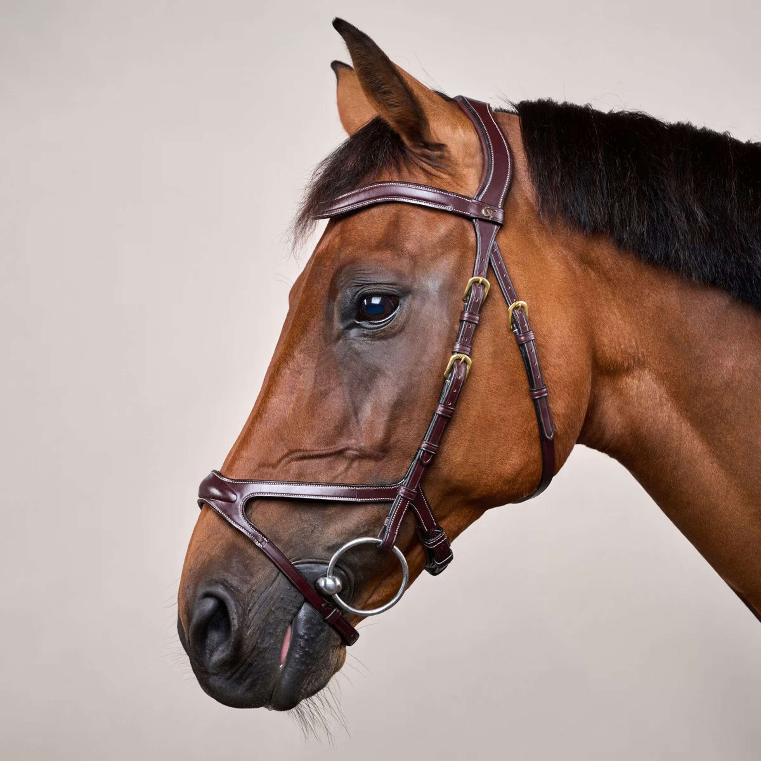 Dyon Bridle X-Fit Brown