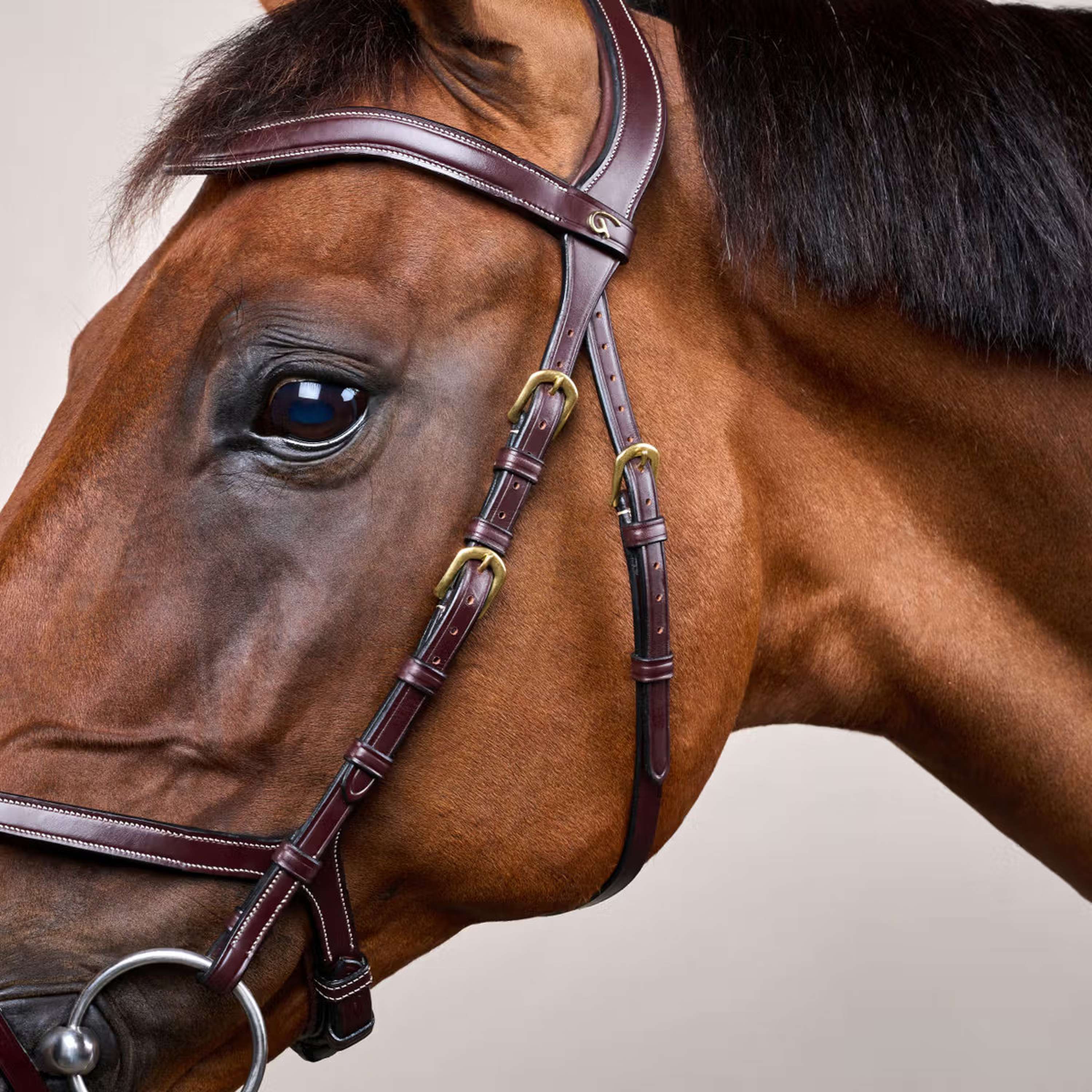 Dyon Bridle X-Fit Brown