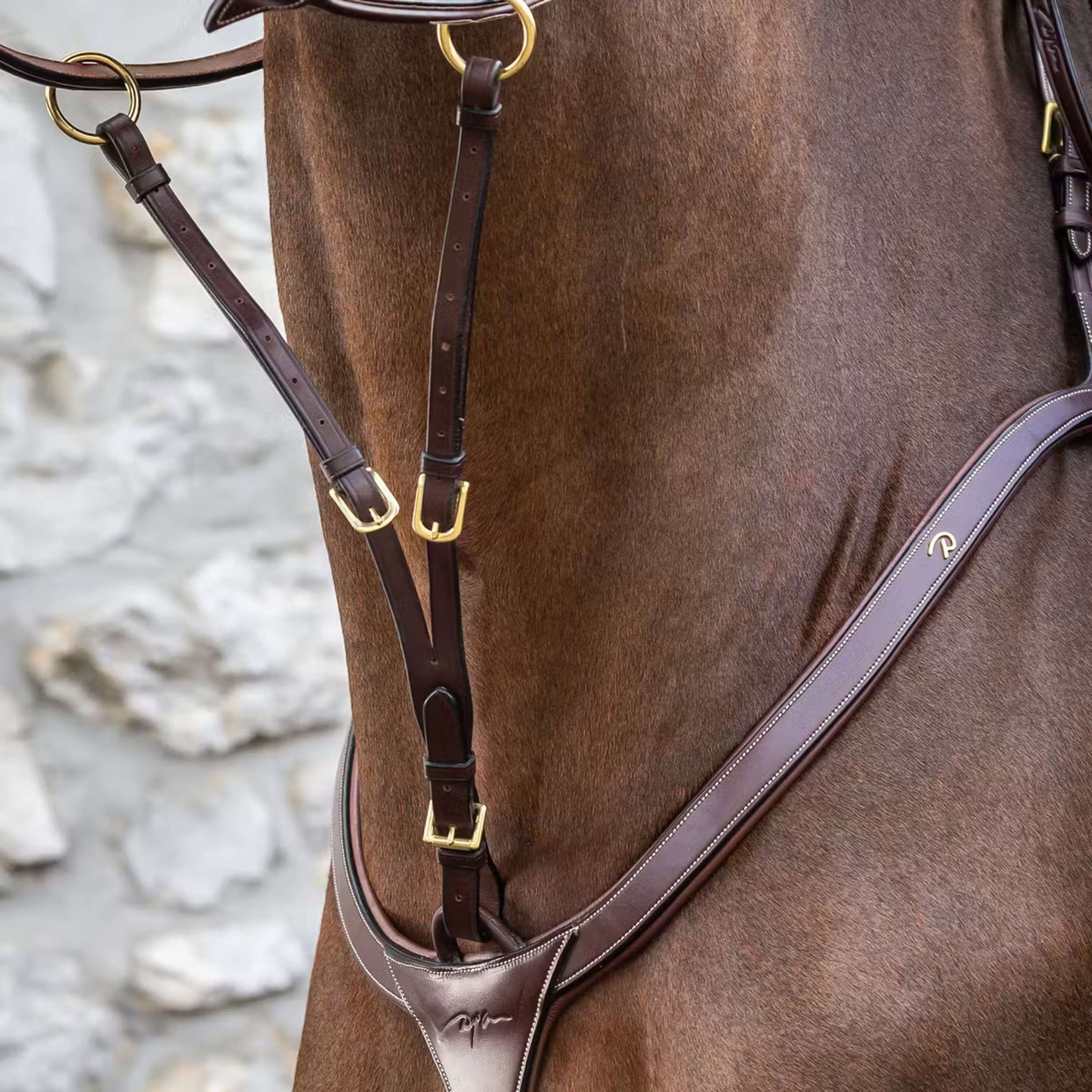 Dyon Chest Harness Martingale Running Brown