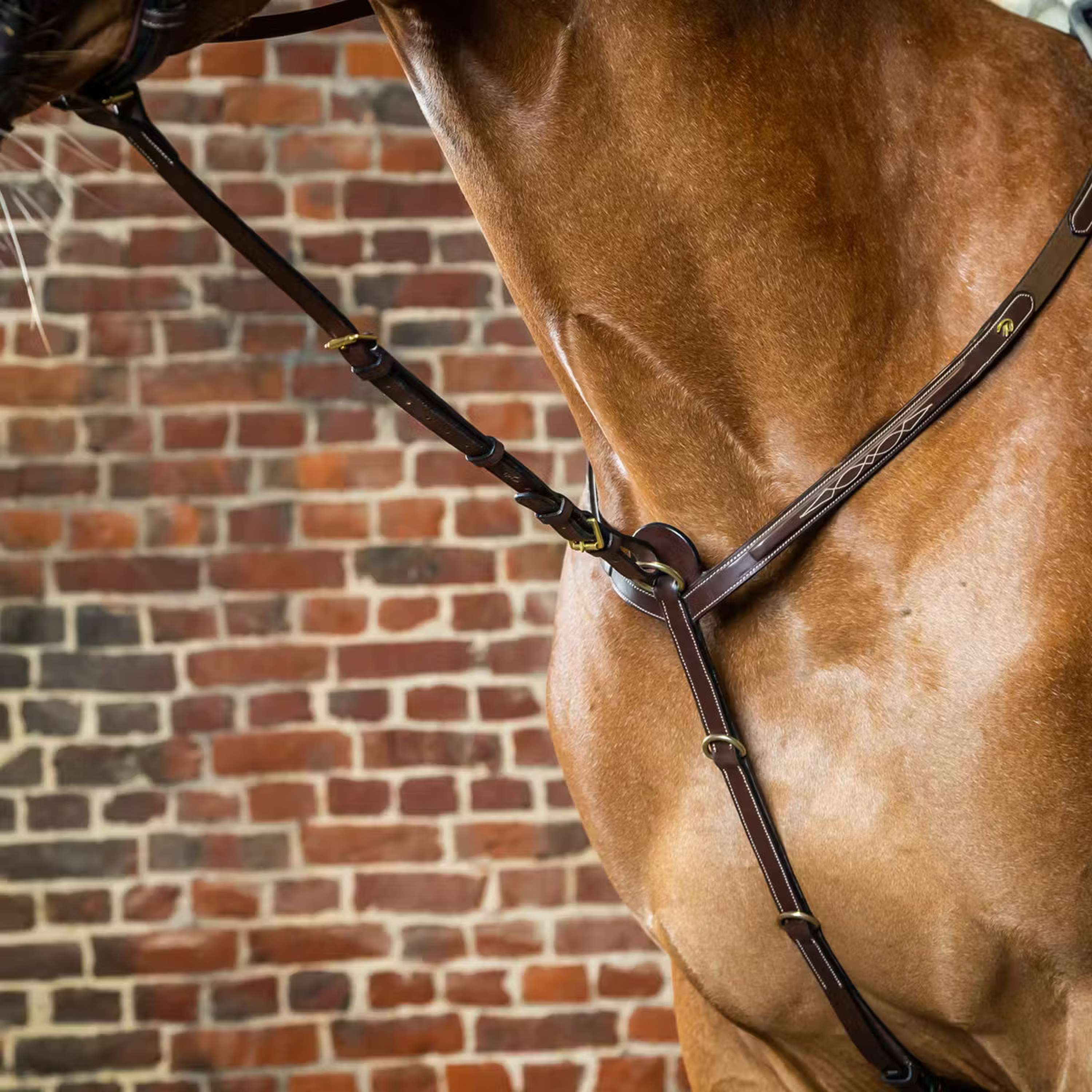 Dyon Chest Harness Martingale Standing Brown