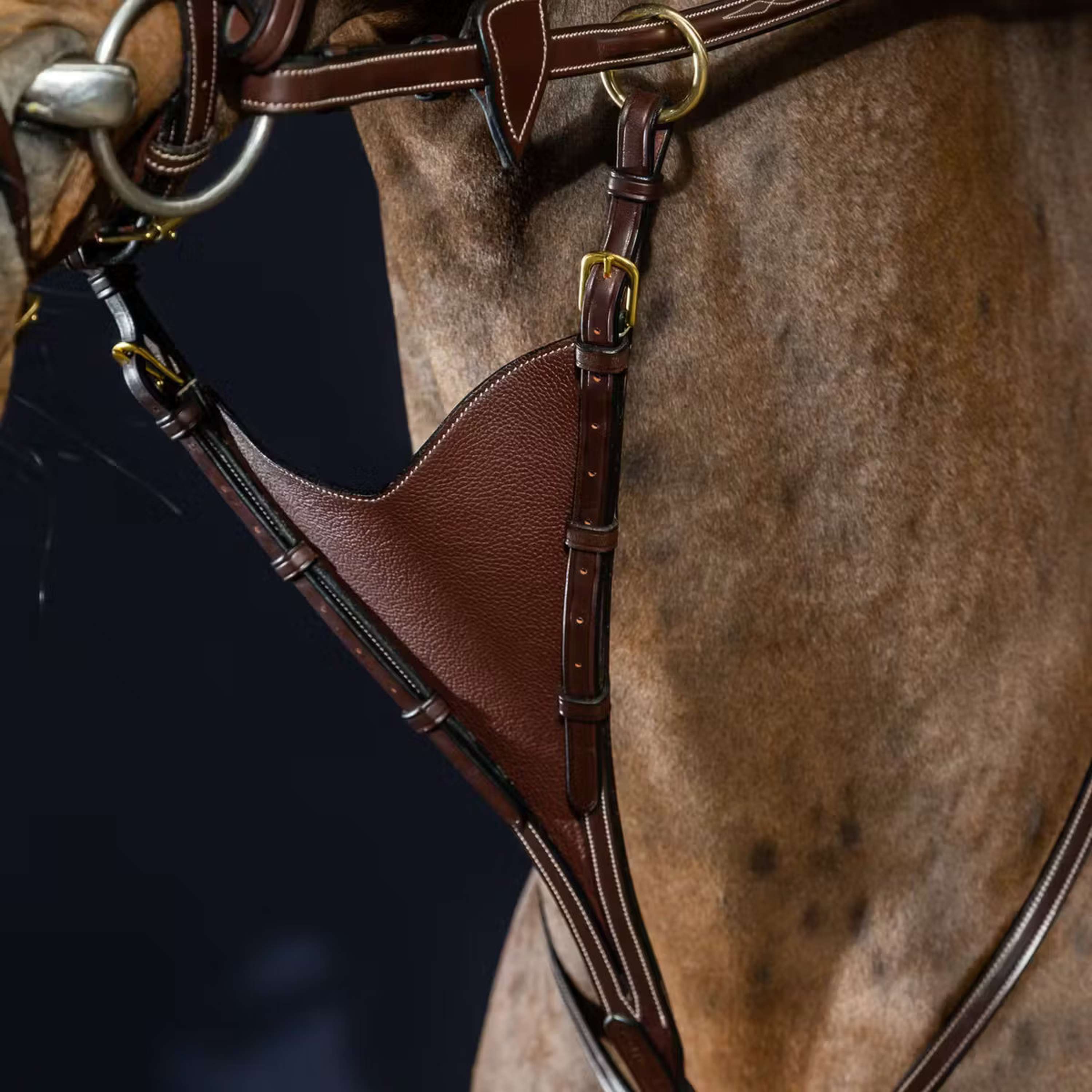 Dyon Martingale Fork Soft Brown