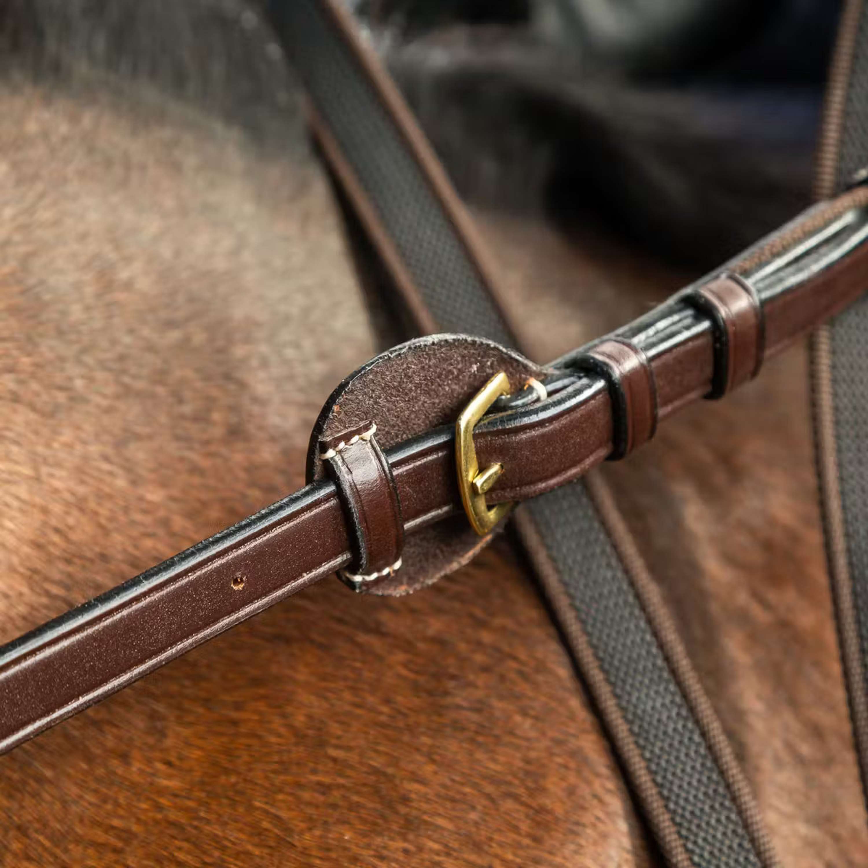Dyon Reins 5/8 Adjustable Brown