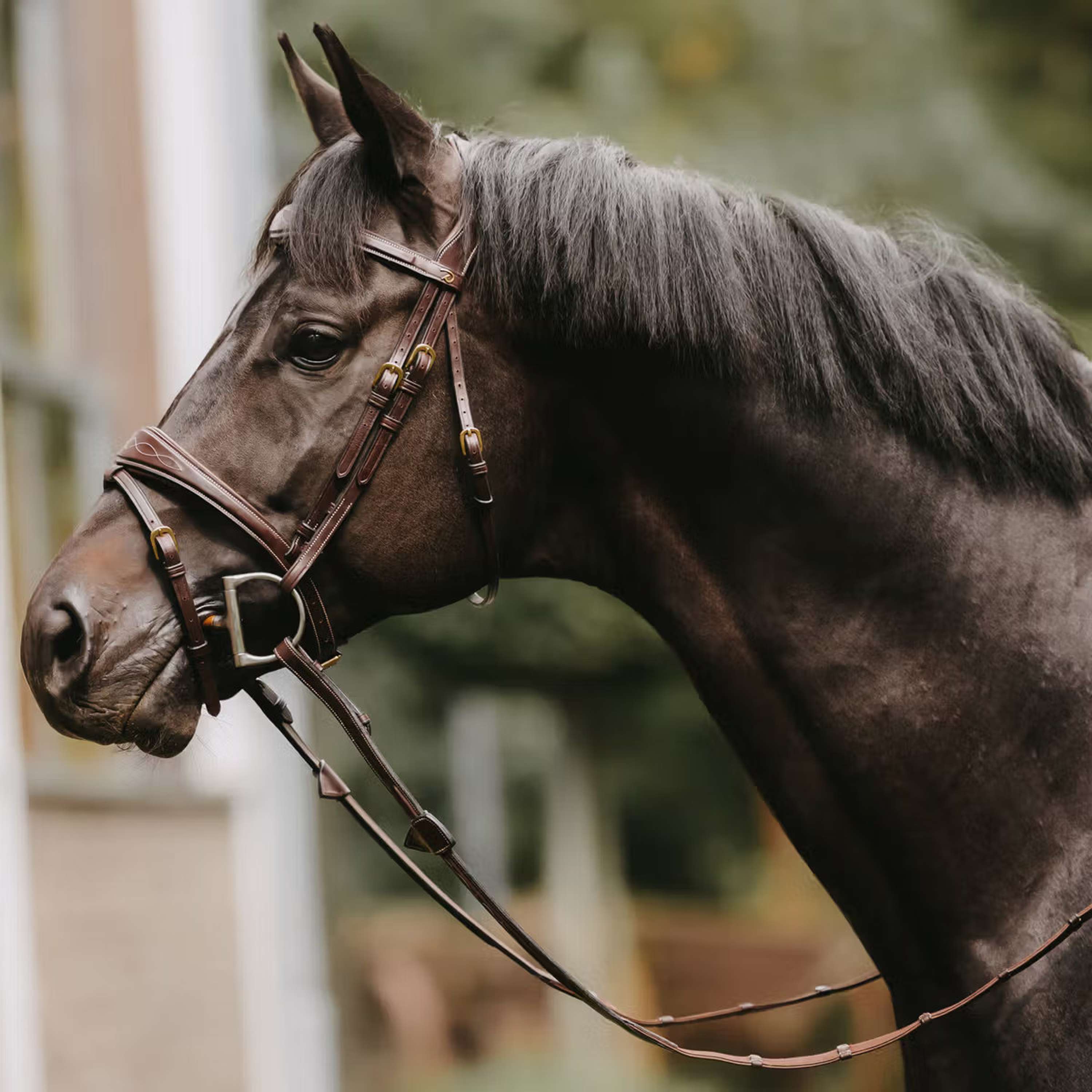 Dyon Reins Hunter 5/8 with Leather Stoppers Brown
