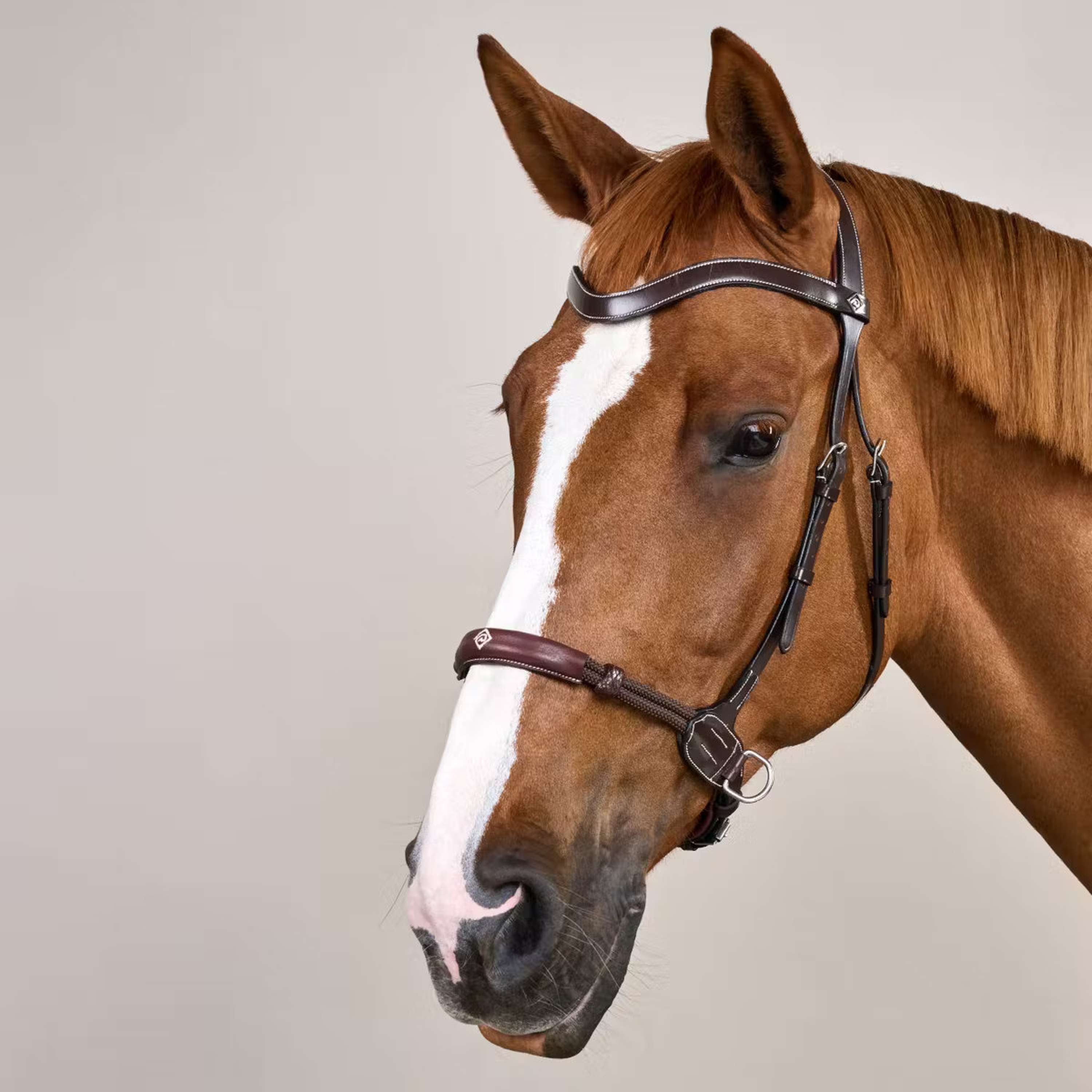 Dyon Bitless Bridle Brown