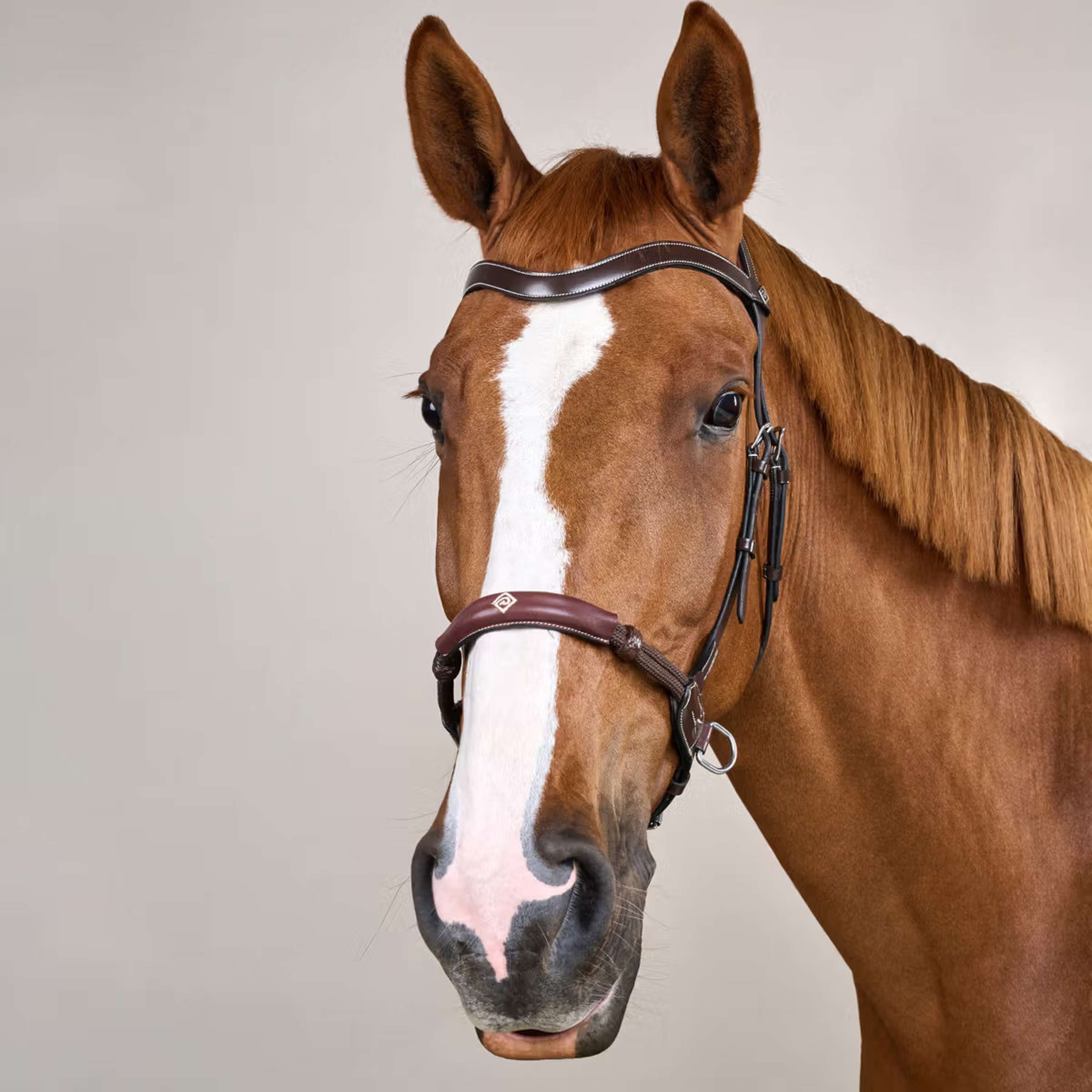 Dyon Bitless Bridle Brown