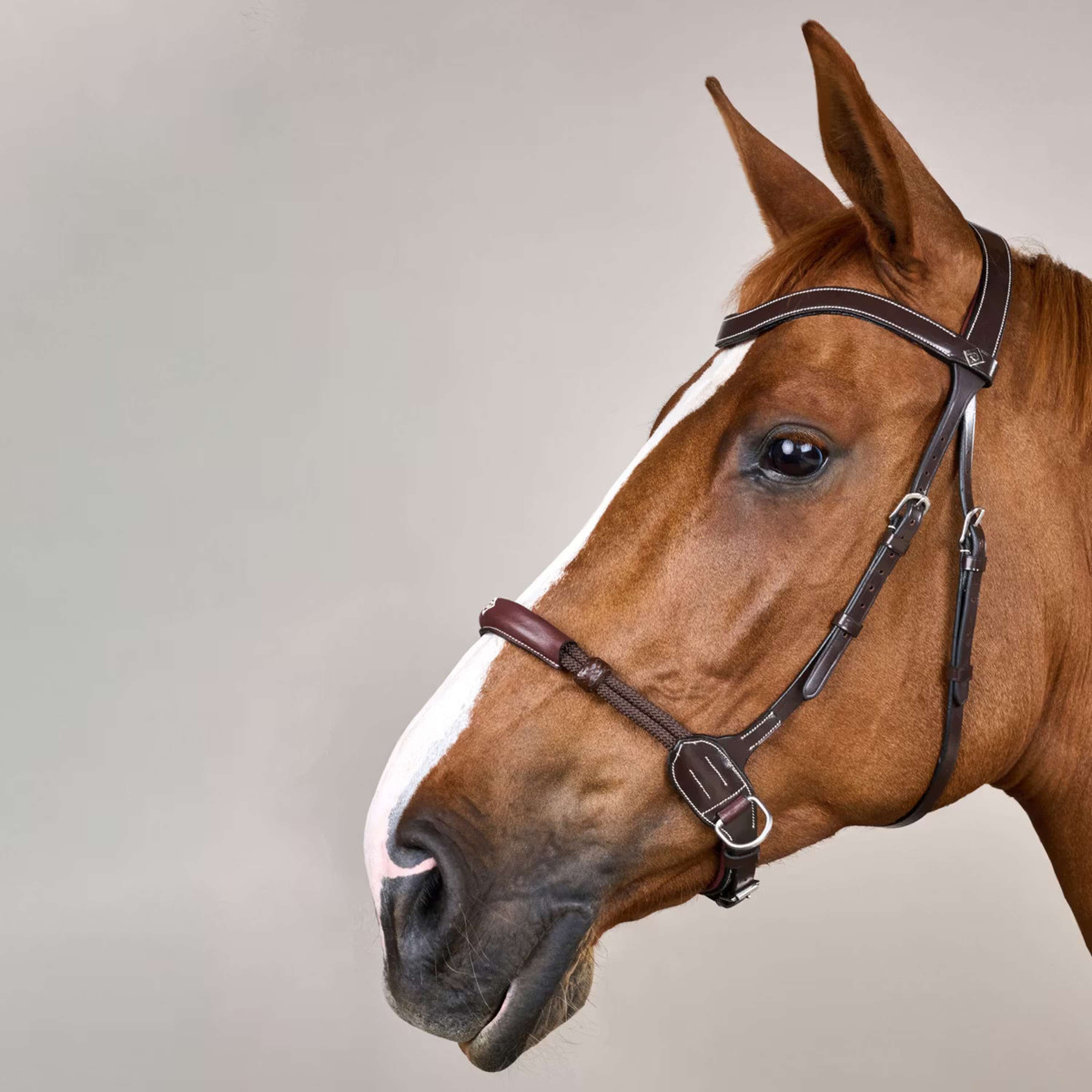 Dyon Bitless Bridle Brown