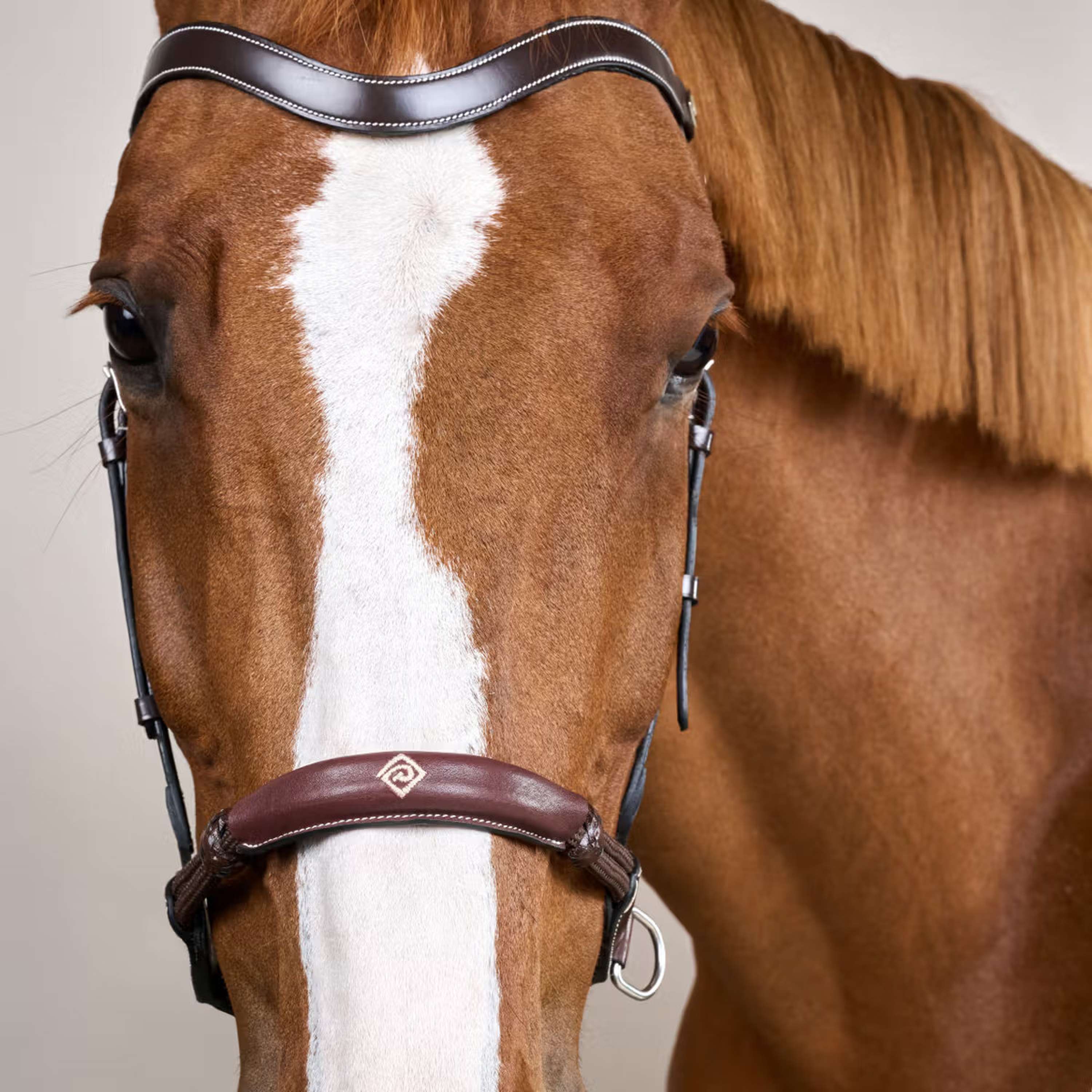Dyon Bitless Bridle Brown