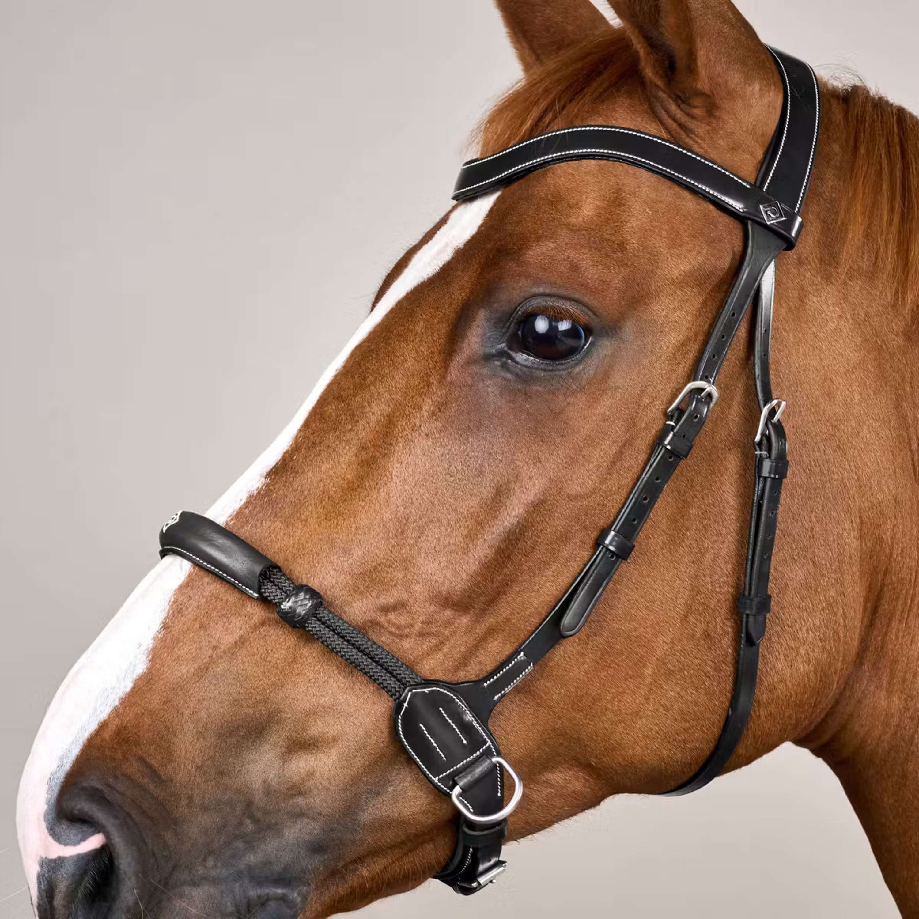 Dyon Bitless Bridle Black