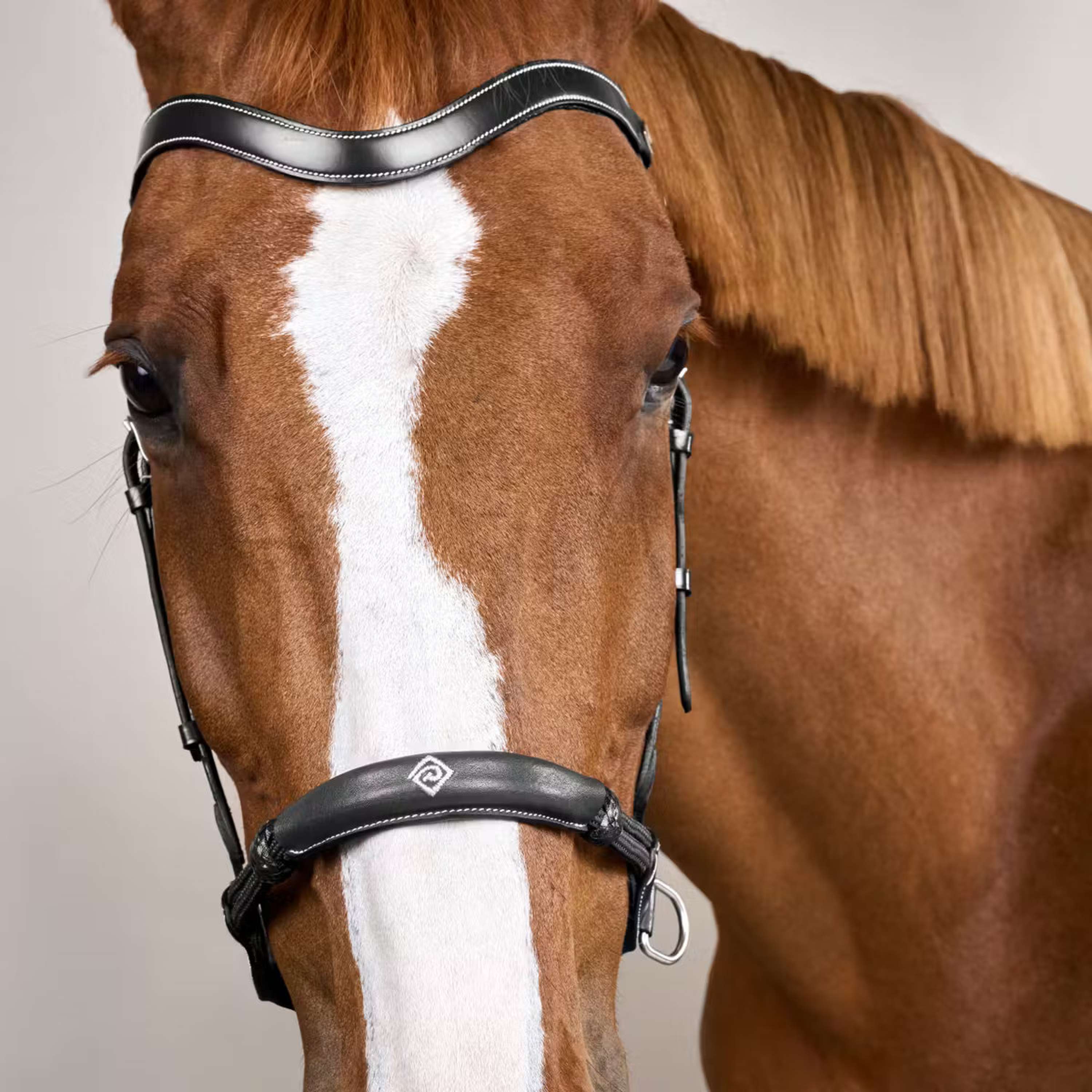 Dyon Bitless Bridle Black