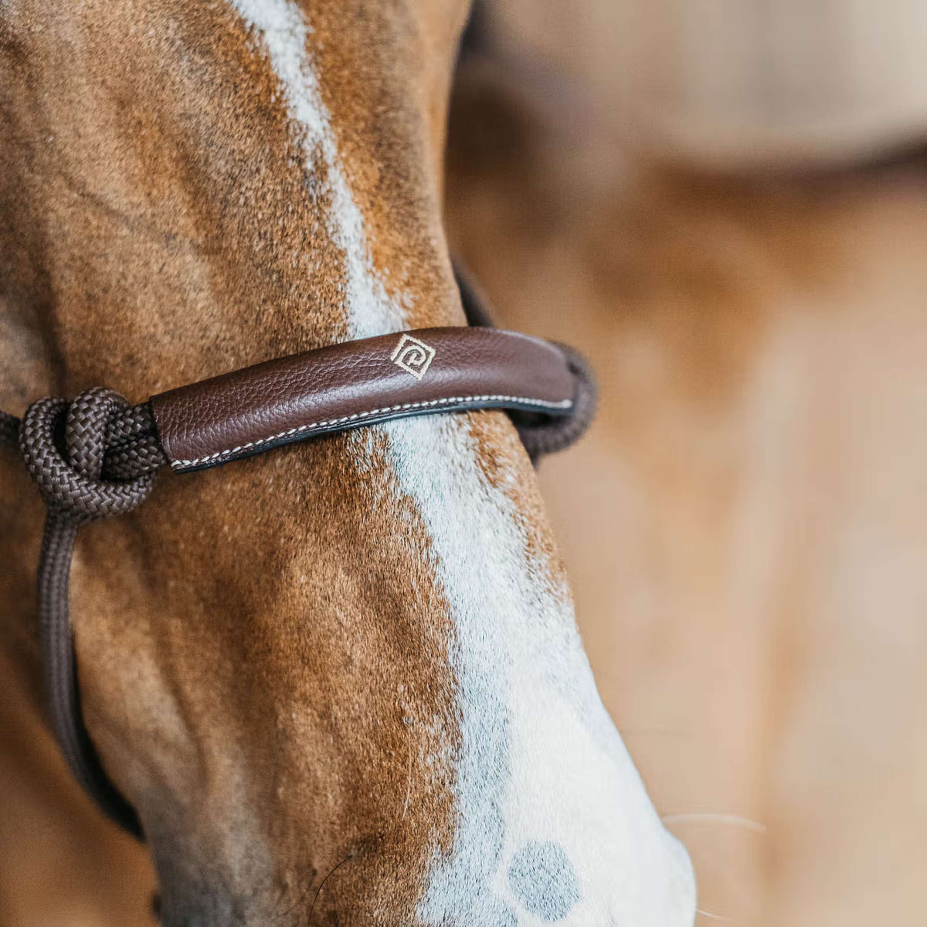 Dyon Rope Halter Brown