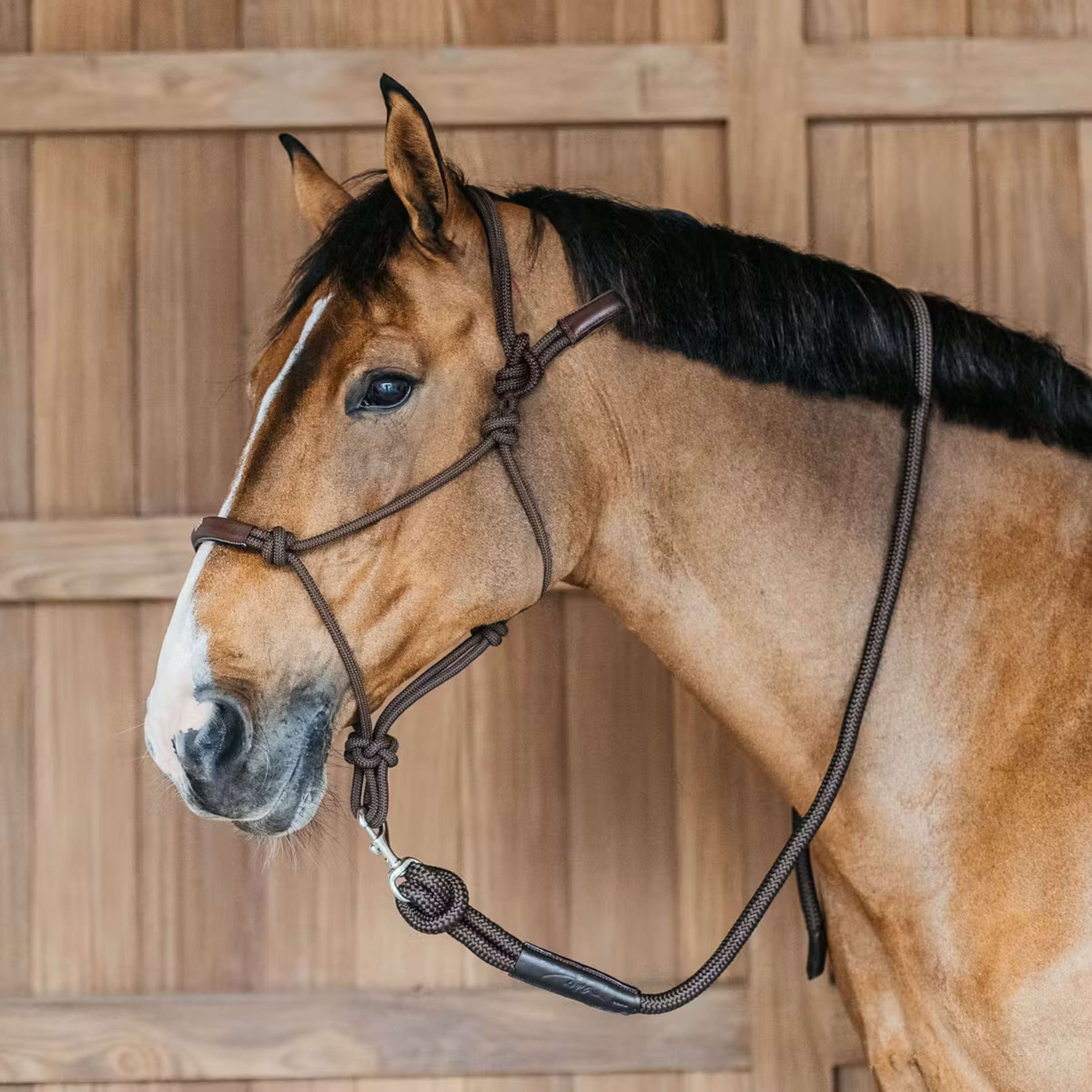 Dyon Rope Halter Brown