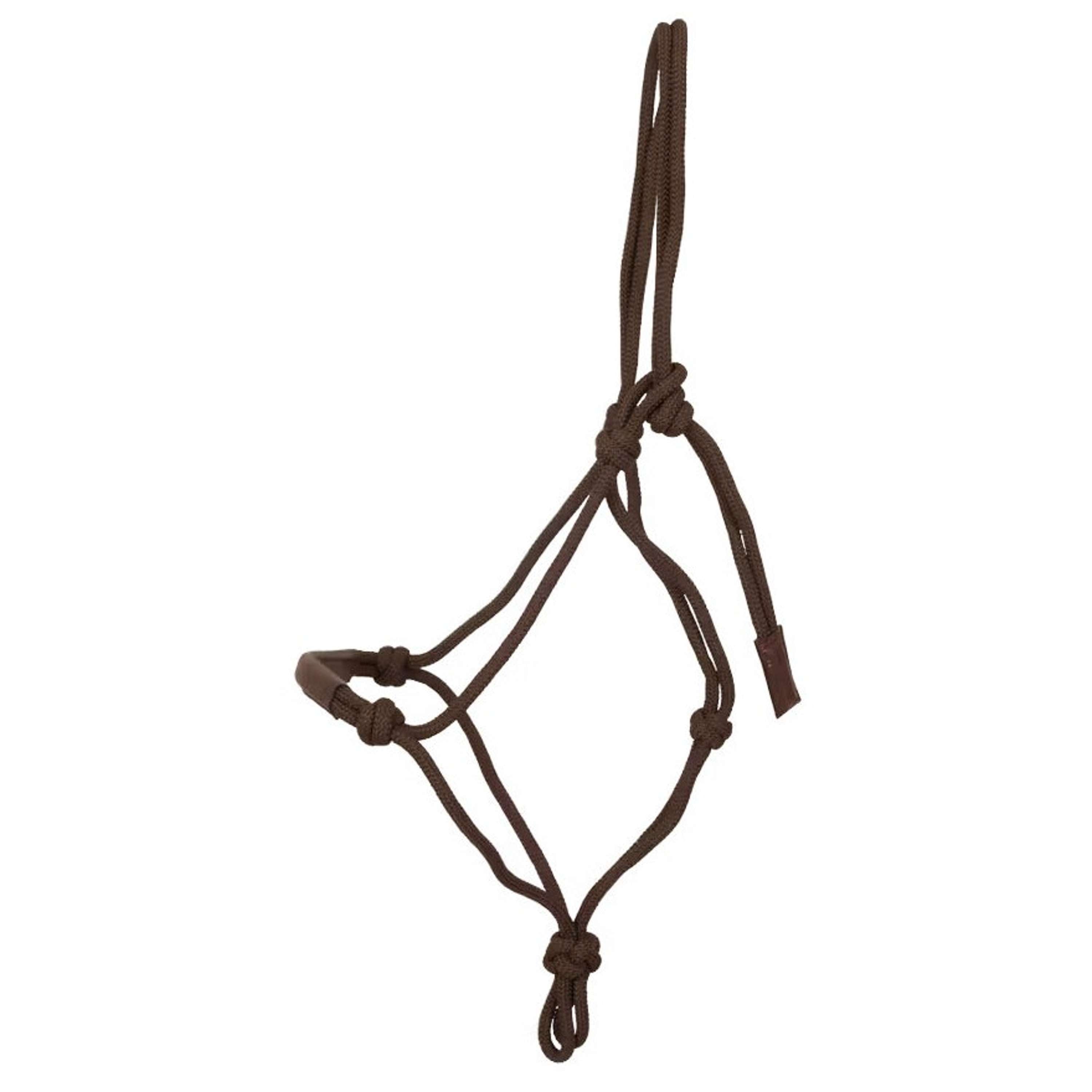 Dyon Rope Halter Brown