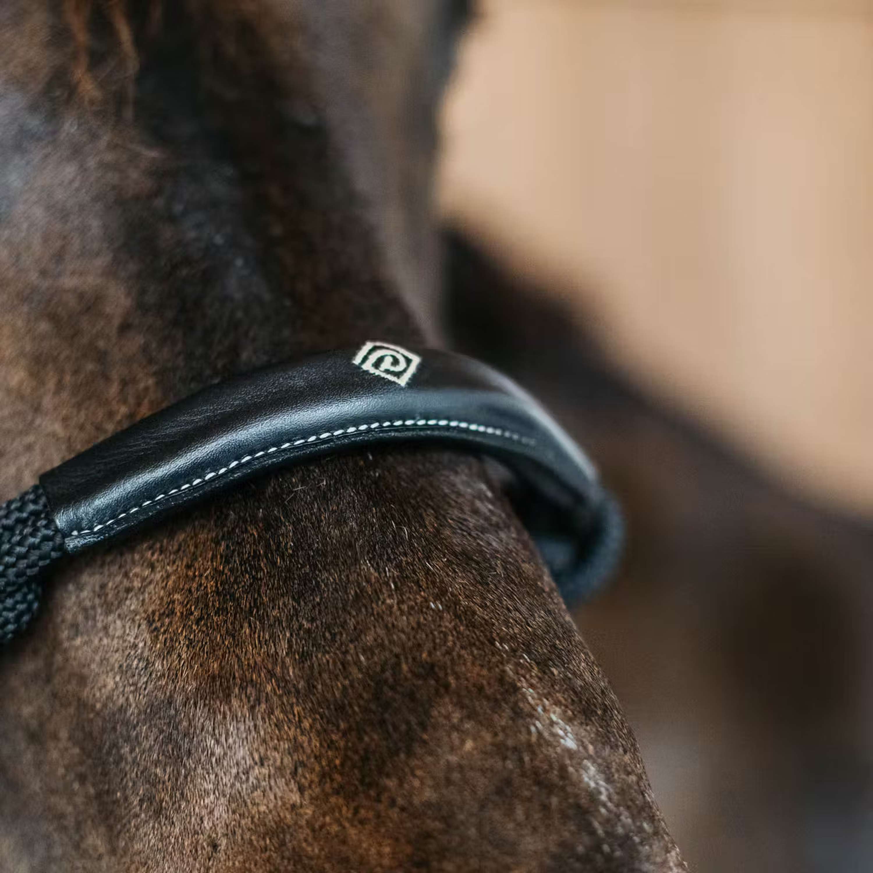 Dyon Rope Halter Black