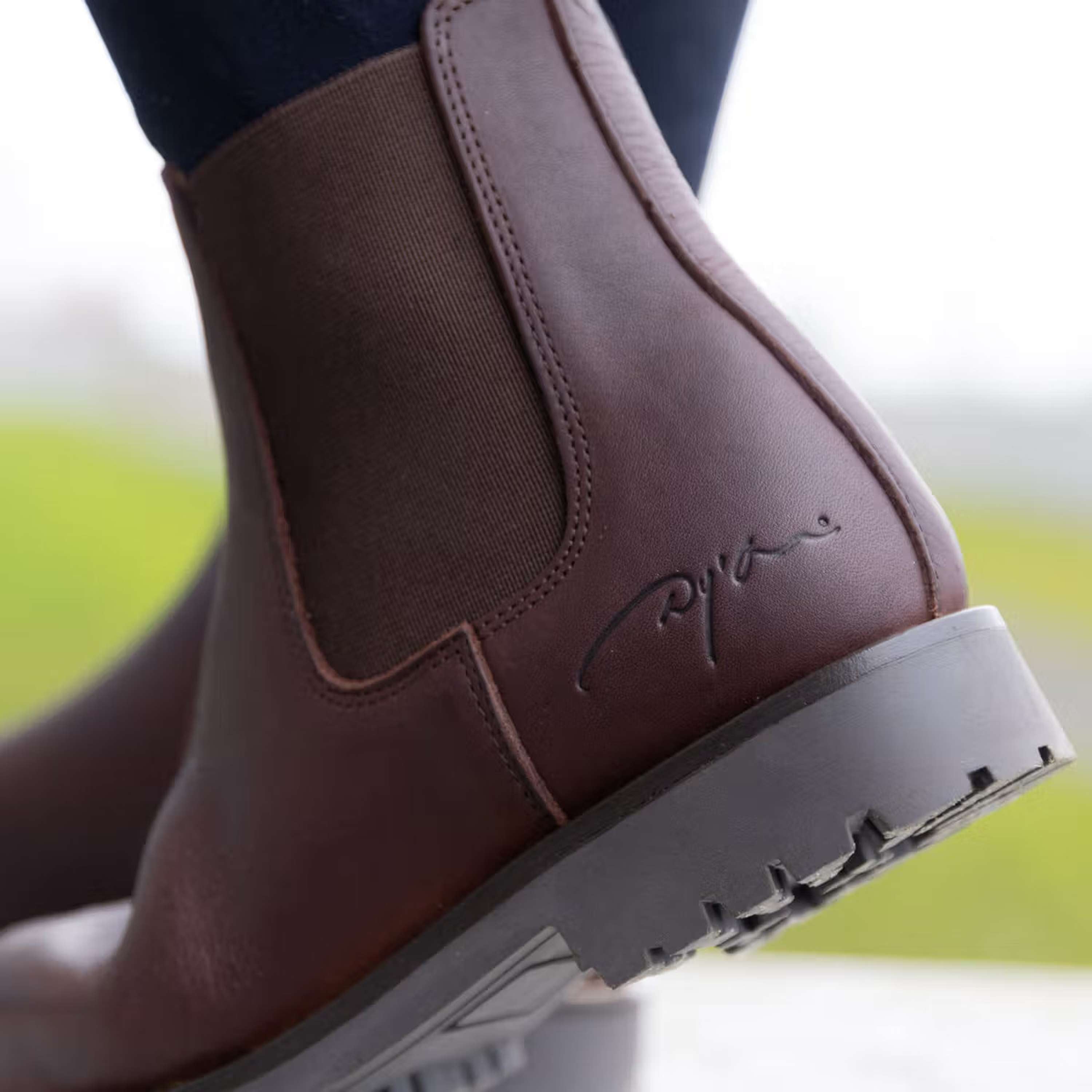 Dyon Chelsea Boots Brown