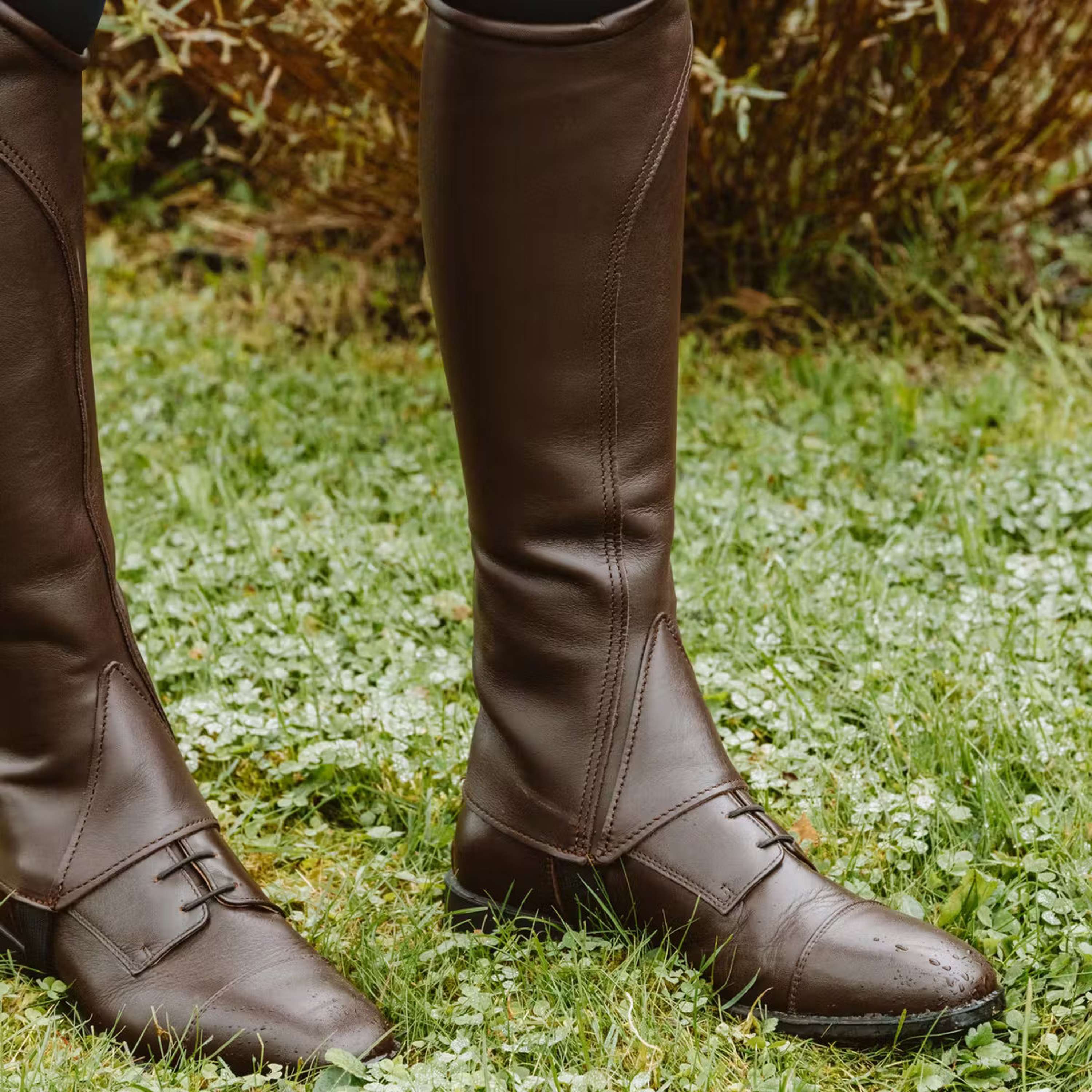 Dyon Jodhpurs Front laces Brown