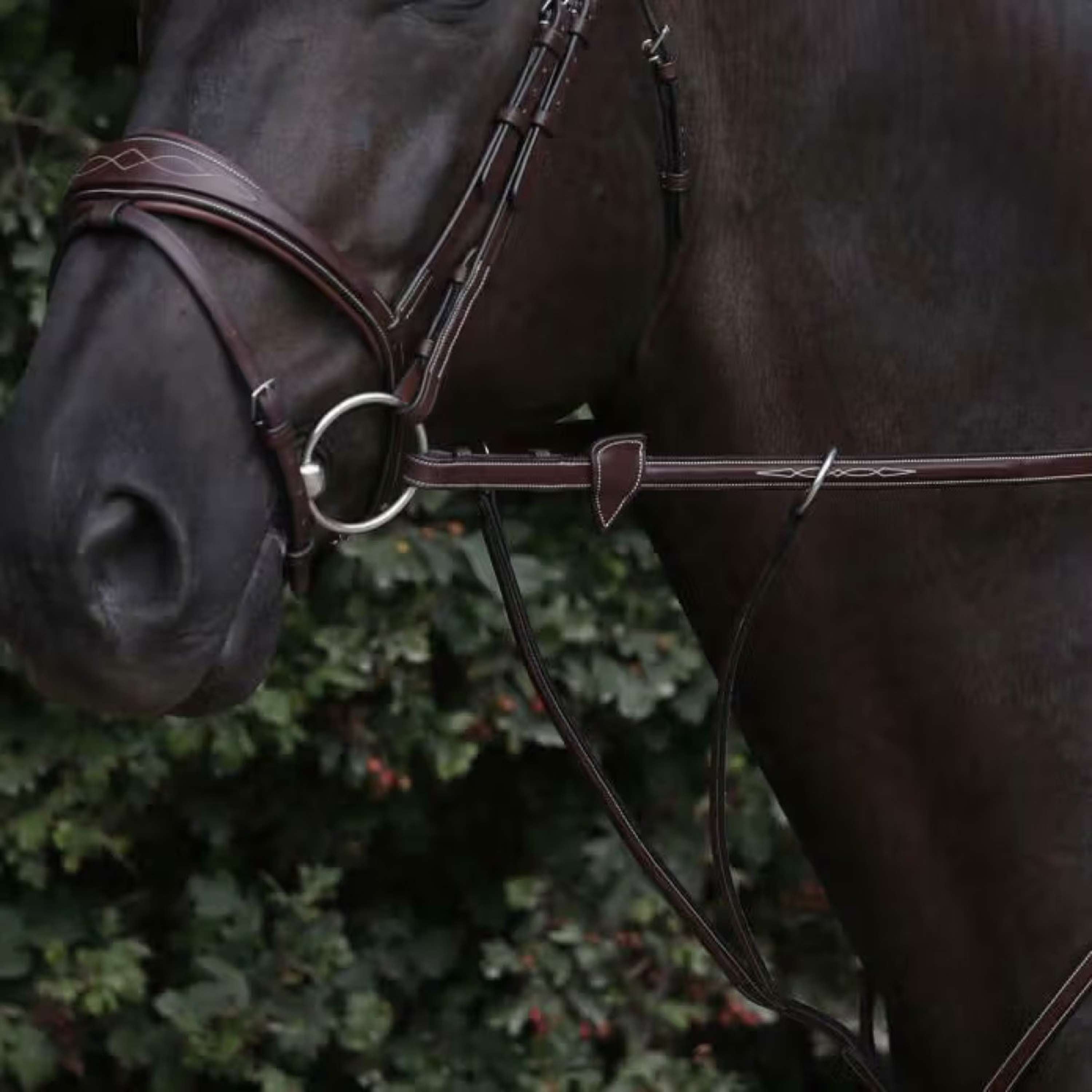 Dyon Reins US Collection 1/2 Rubber Brown