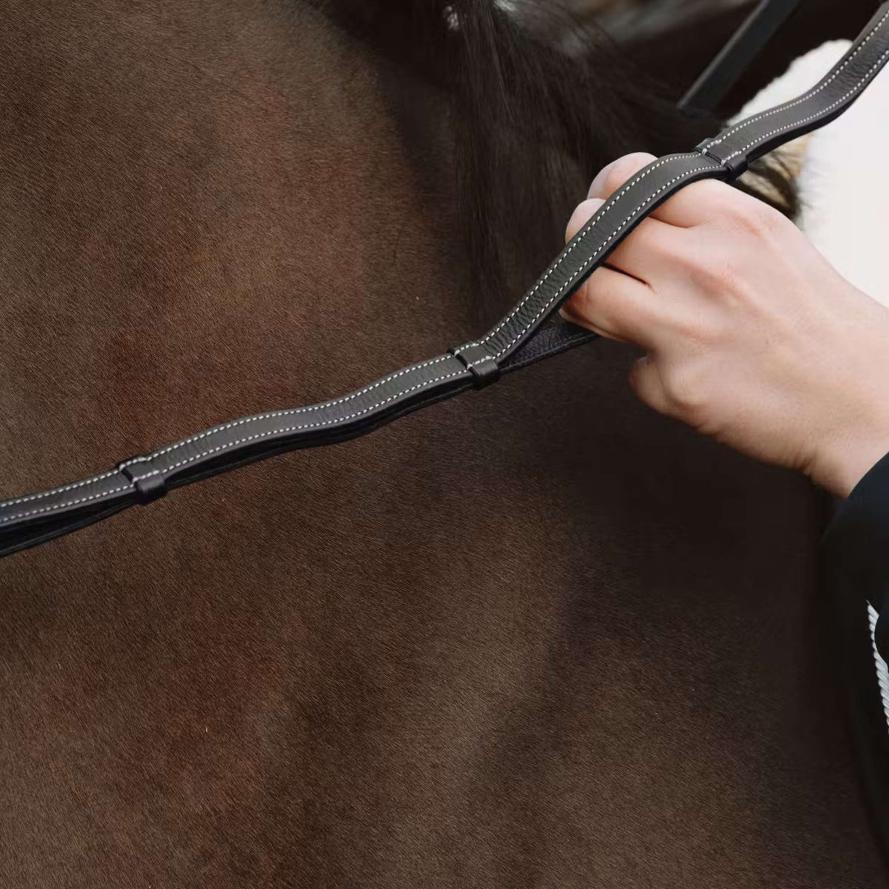 Dyon Reins Leather Working Collection 1/2 with Handles Black